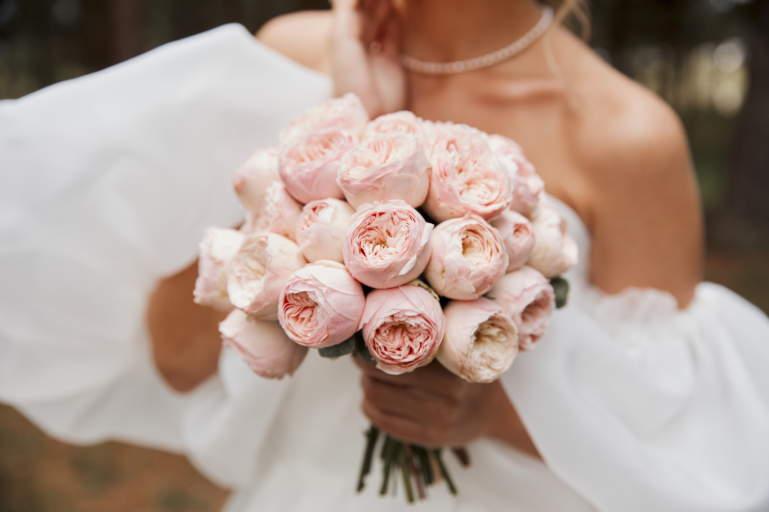 Нежность. Свадебный и семейный фотограф в Ярославле и Рыбинске Вячеслав Барышков