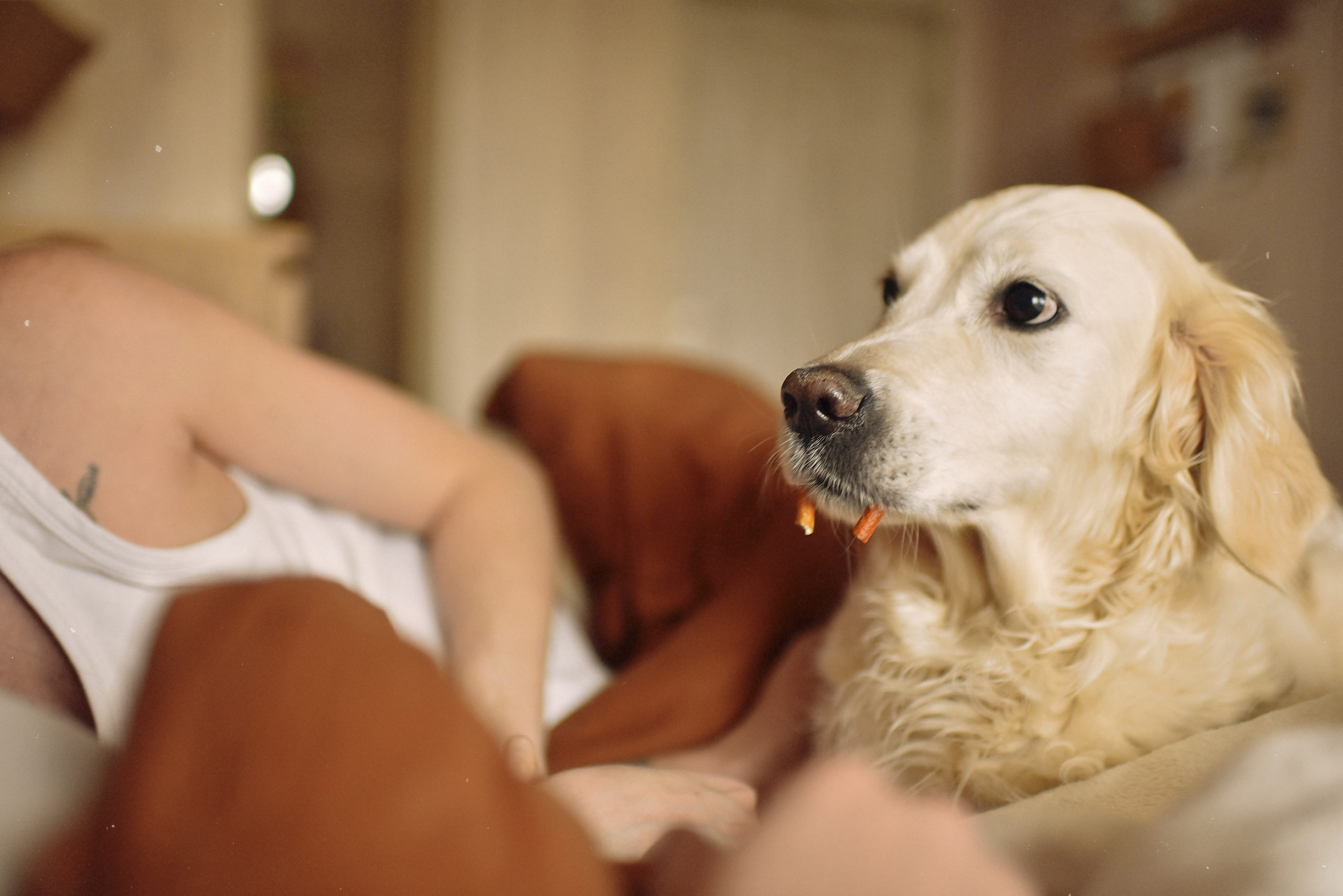 МАРГО, САША и ШАНТИ | скоро нас станет больше. Свадебный и семейный фотограф РИТА БОЧКАРЁВА