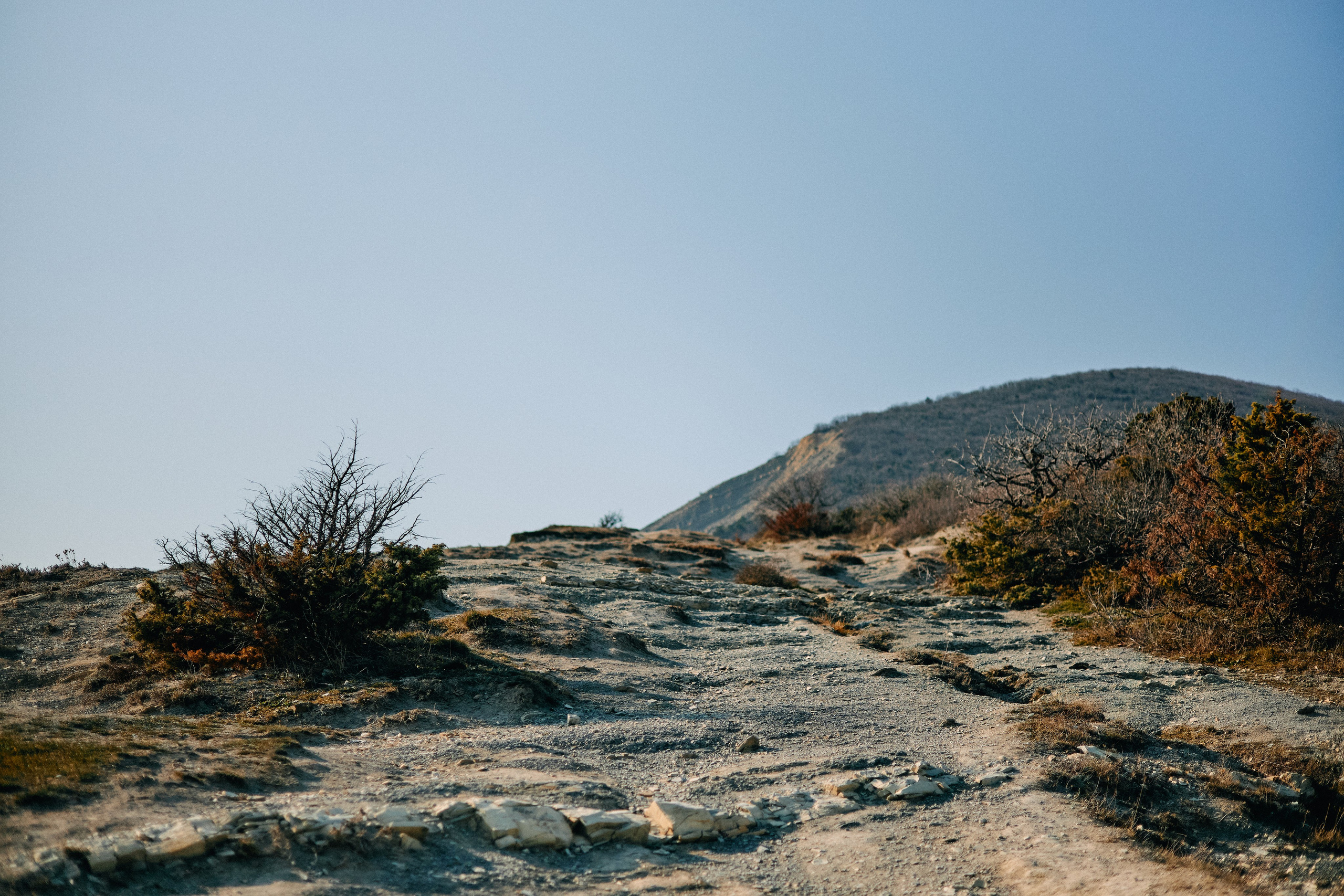 Юг России. Профессиональный Фотограф во Владимире, в Москве и в Суздале — Полина Романычева