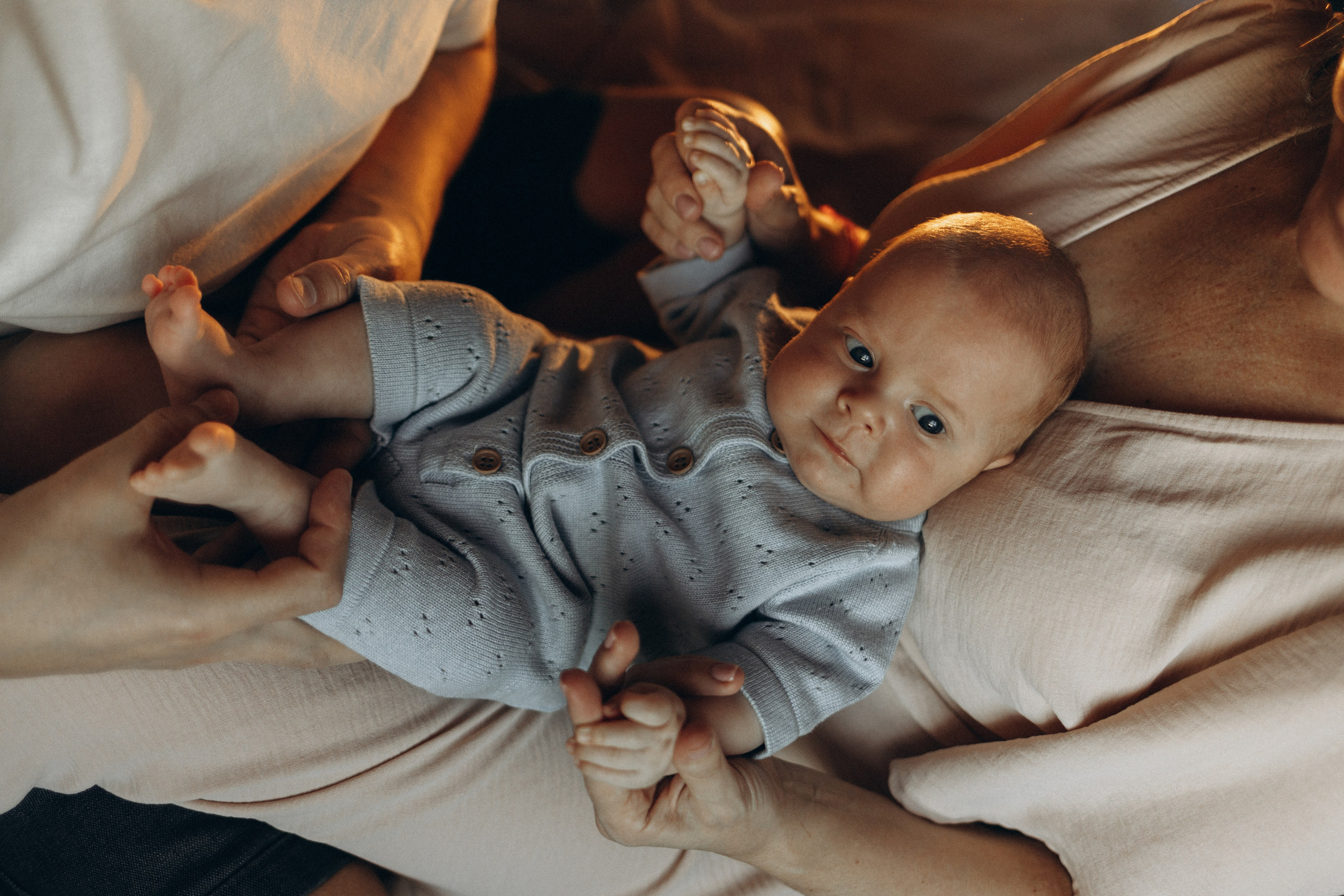 Домашние. Фотограф Москва