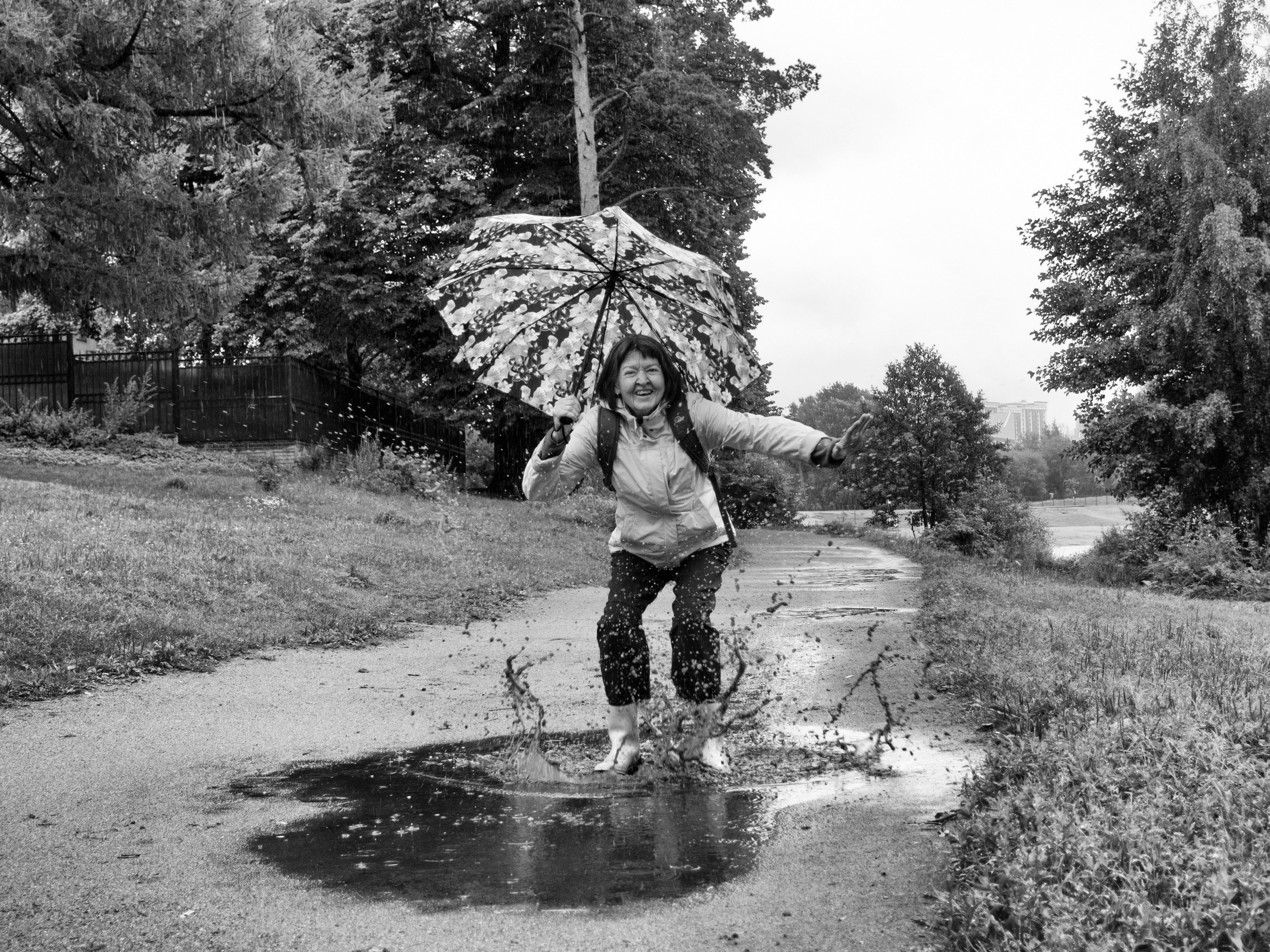 Портреты с Доном