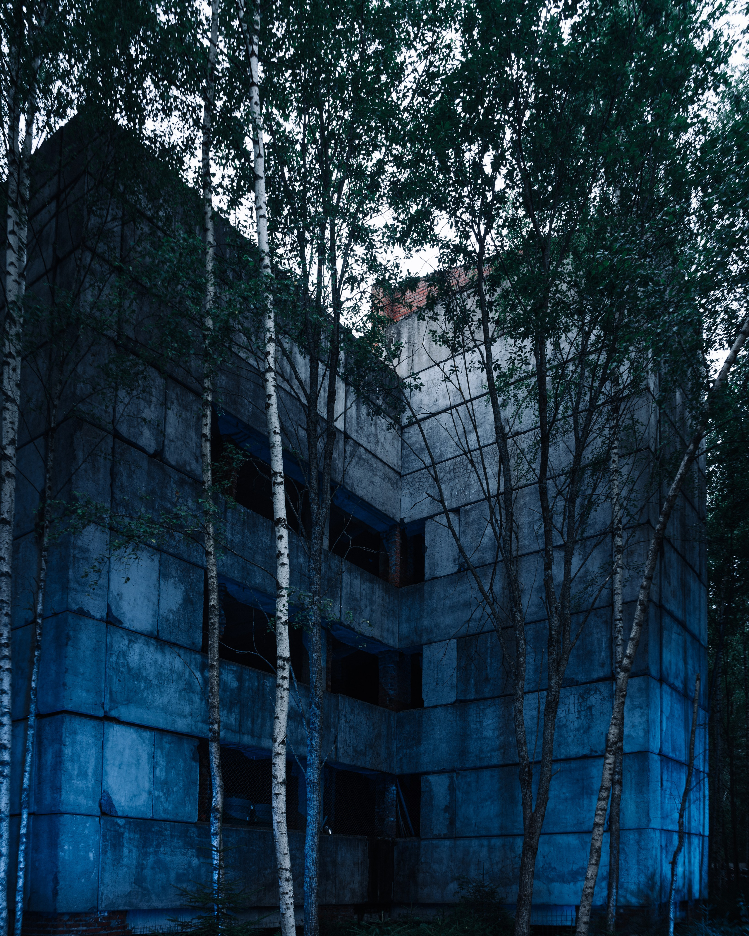 Outline 2024. @tomrus: Рустам Шагиморданов — фотограф