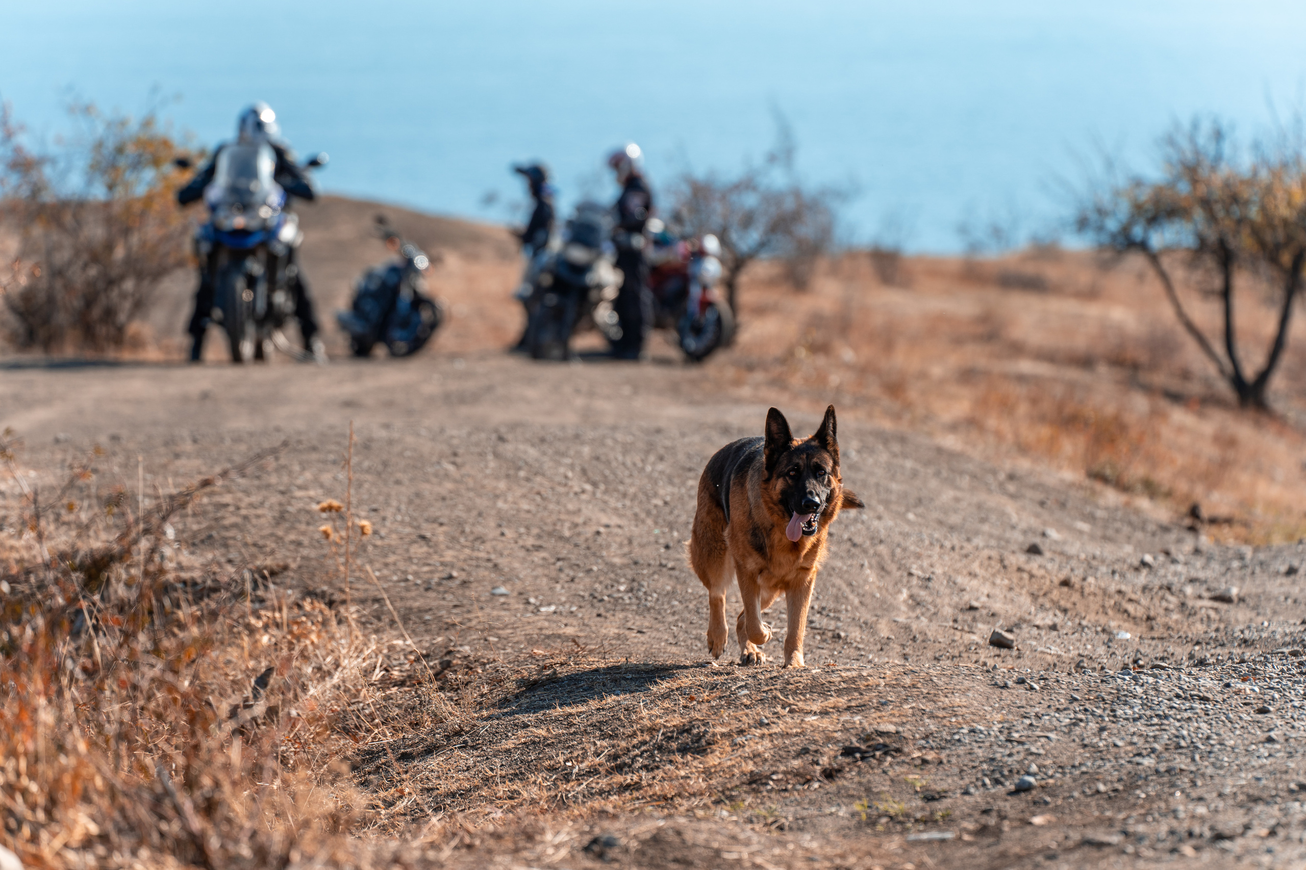 Обучение. Фотограф в Крыму Анастасия Оллилайнен