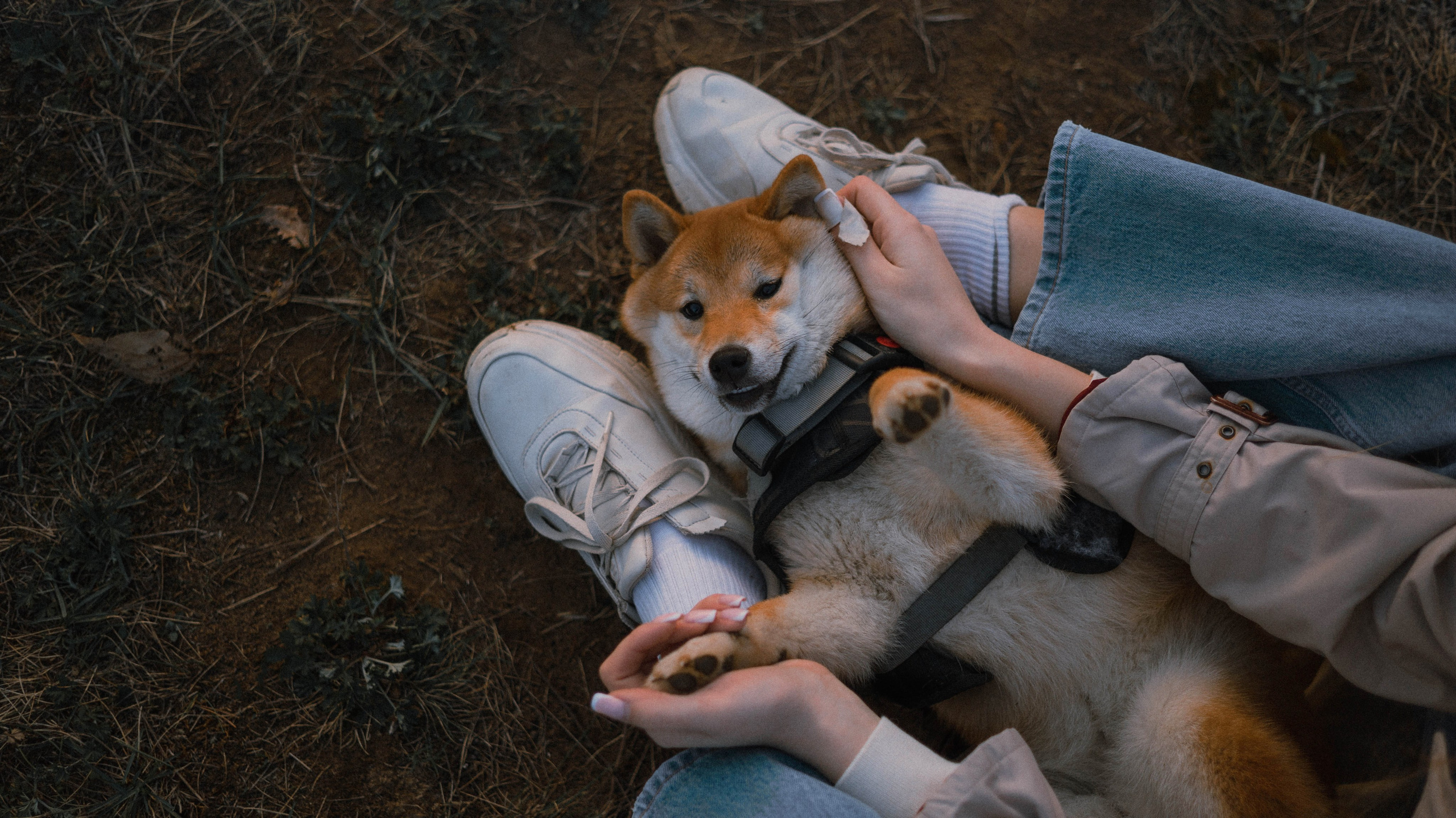 Аня и Шани. Фотограф-анималист Богданова Полина