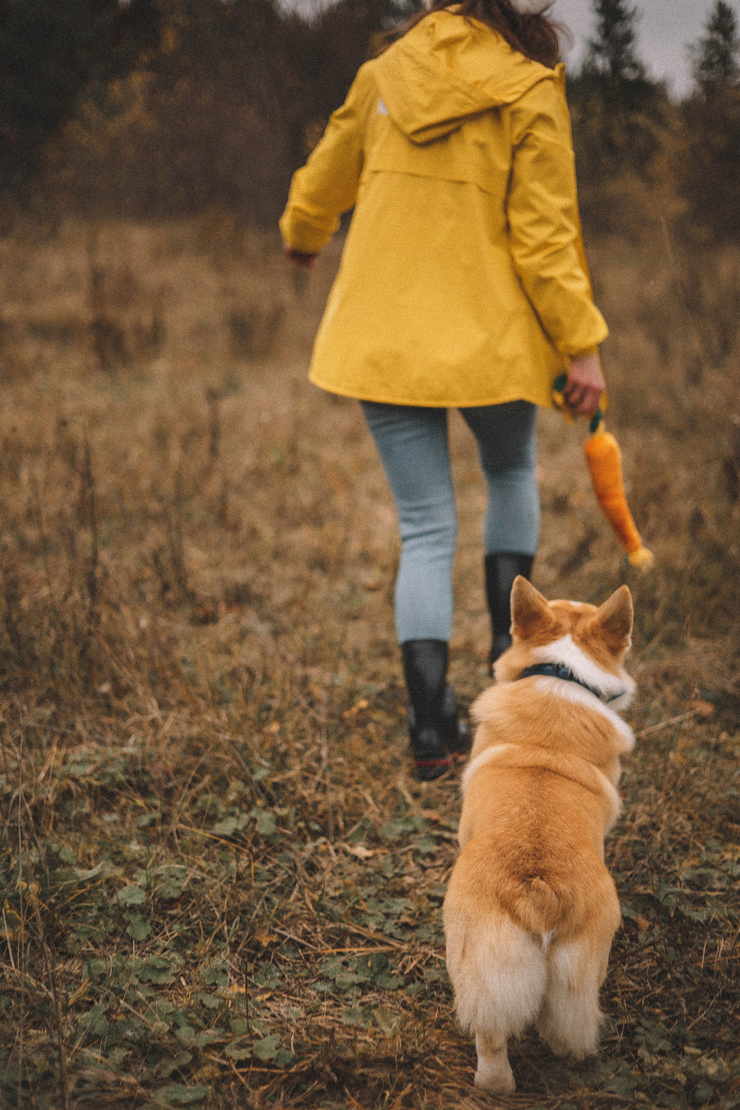 Юля и барри. Фотограф-анималист Богданова Полина