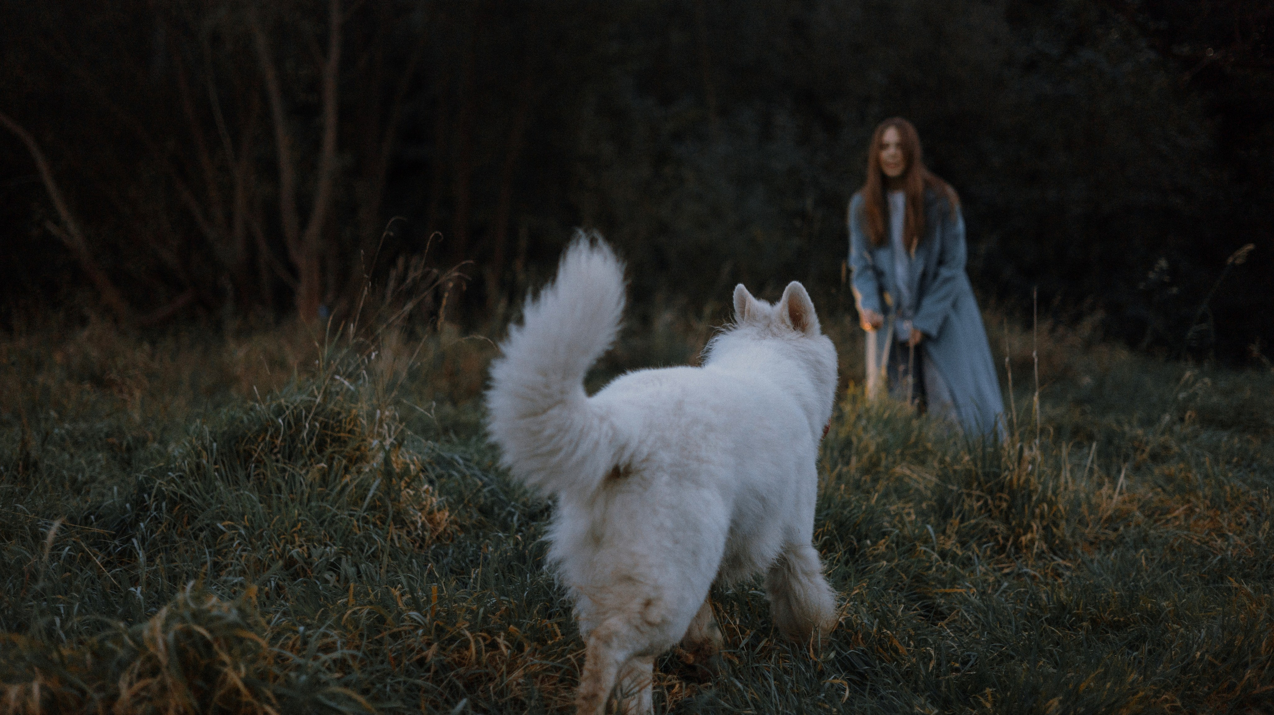 Вика и Уля. Фотограф-анималист Богданова Полина