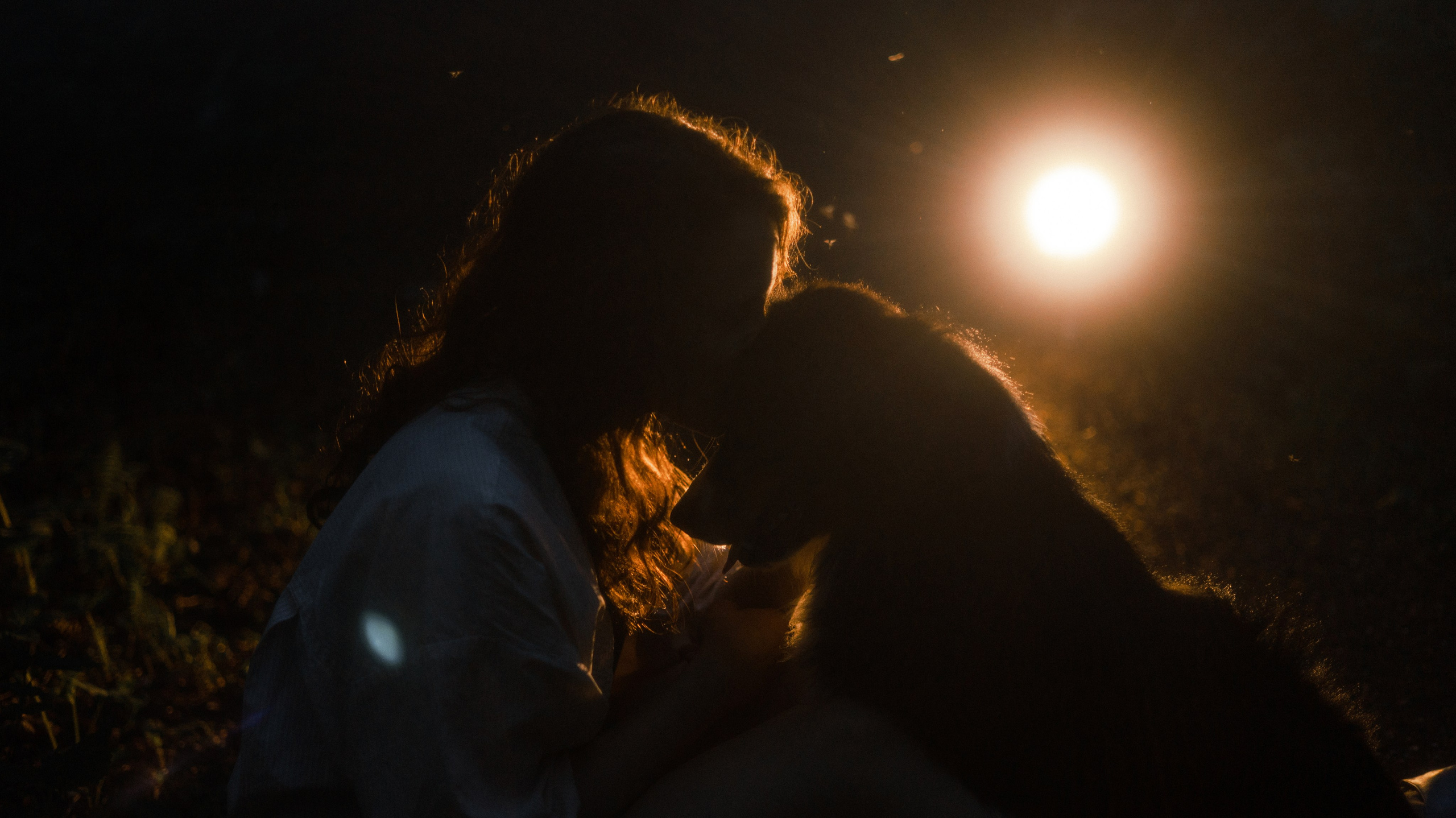 Настя, Шуня, Милка и Тигуан. Фотограф-анималист Богданова Полина