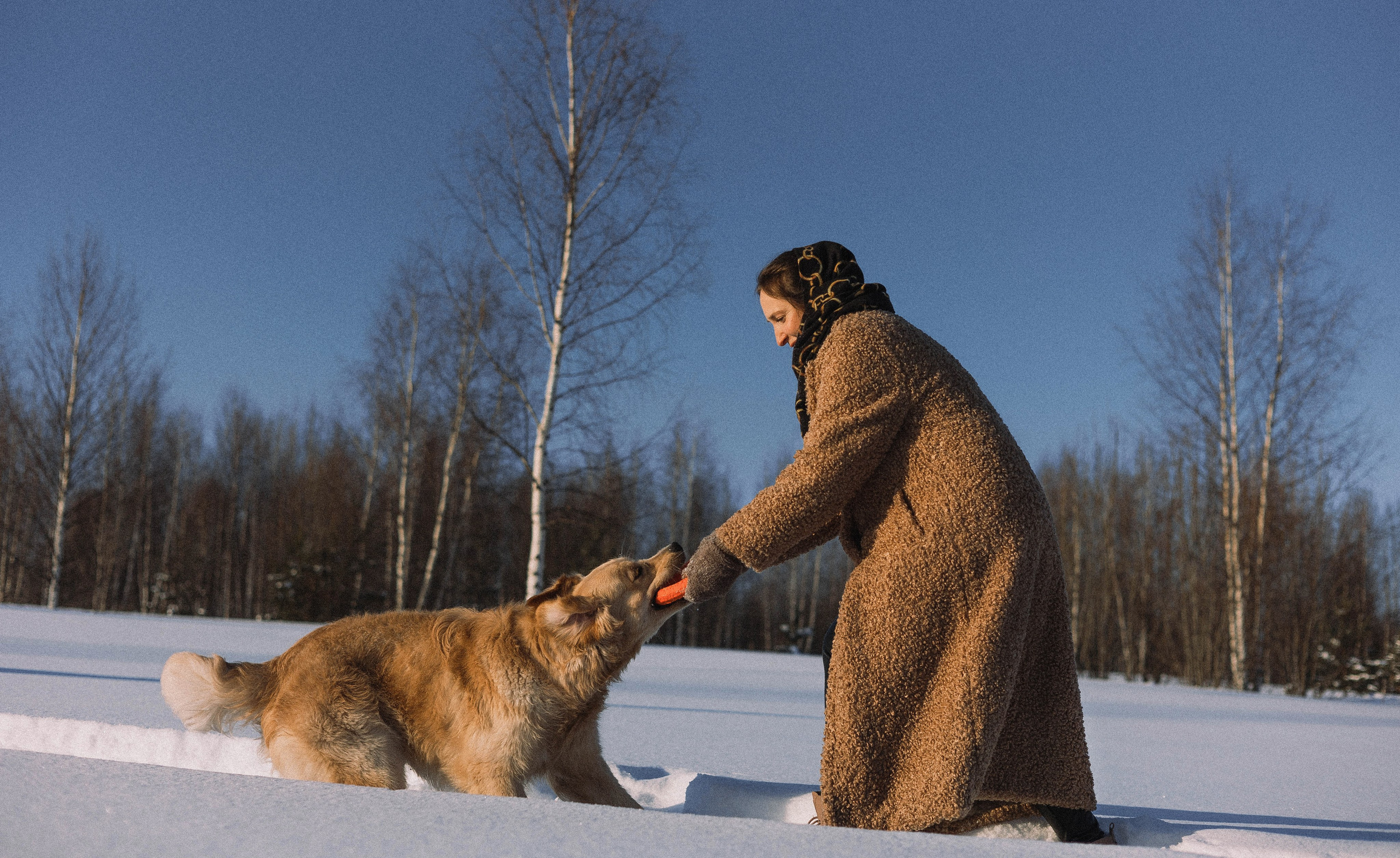 Лена и Декстер. Фотограф-анималист Богданова Полина