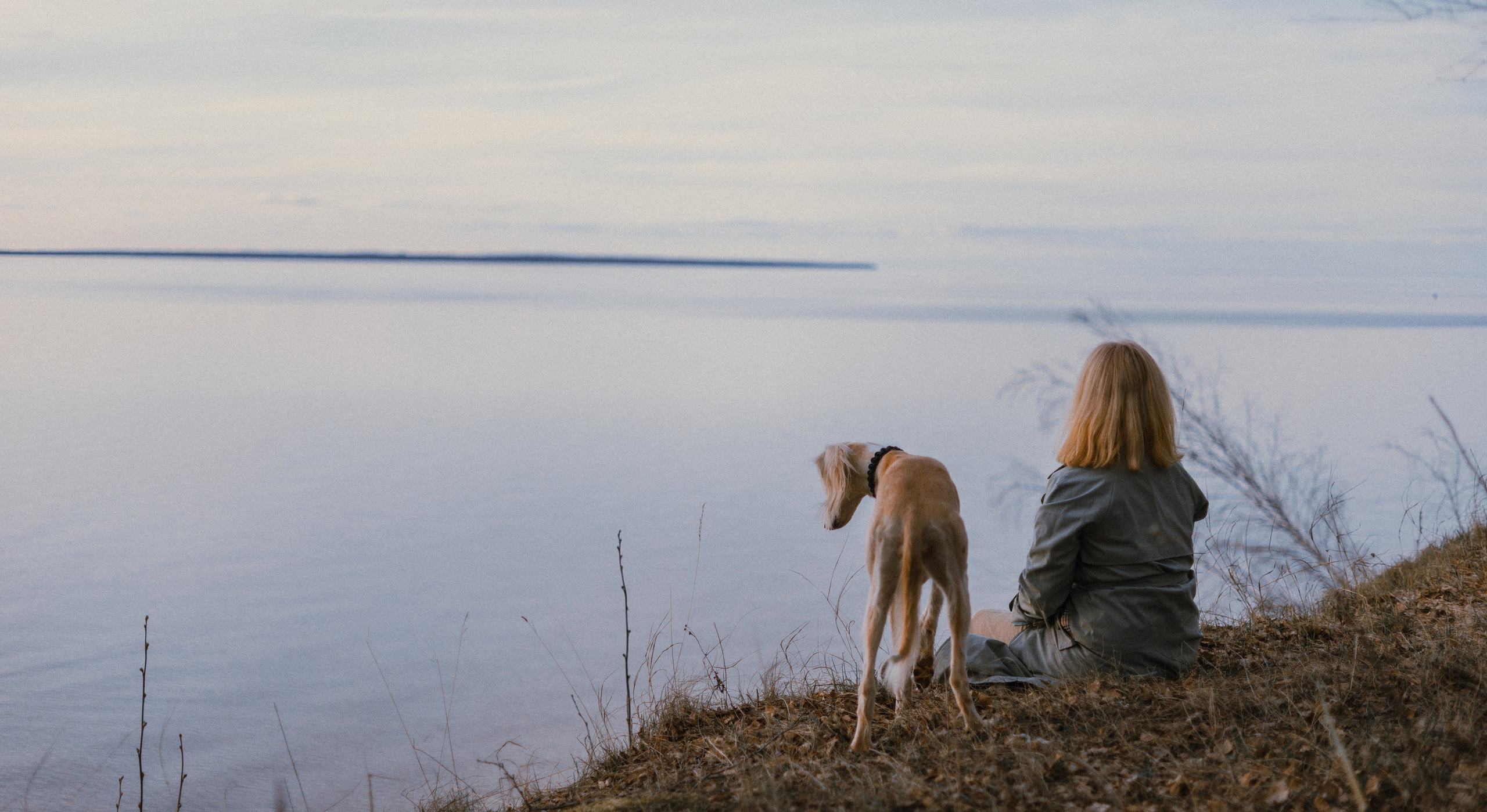 Настя и Бейда. Фотограф-анималист Богданова Полина