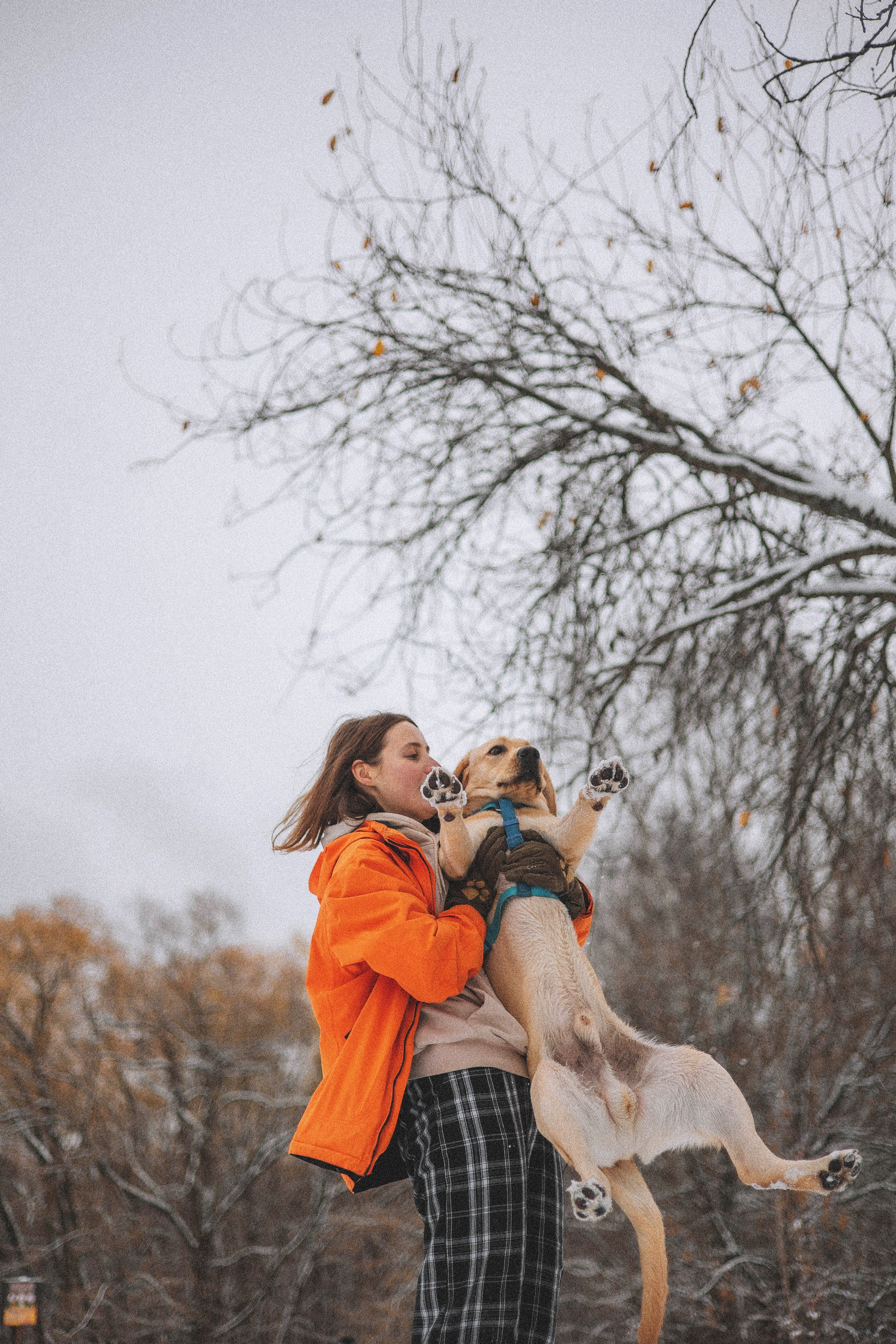 Маргарита и Варди. Фотограф-анималист Богданова Полина