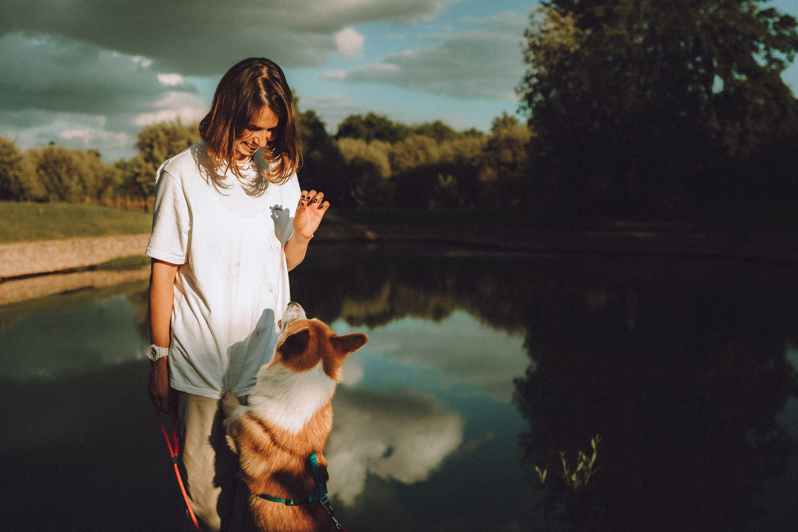 Вирджик и его семья