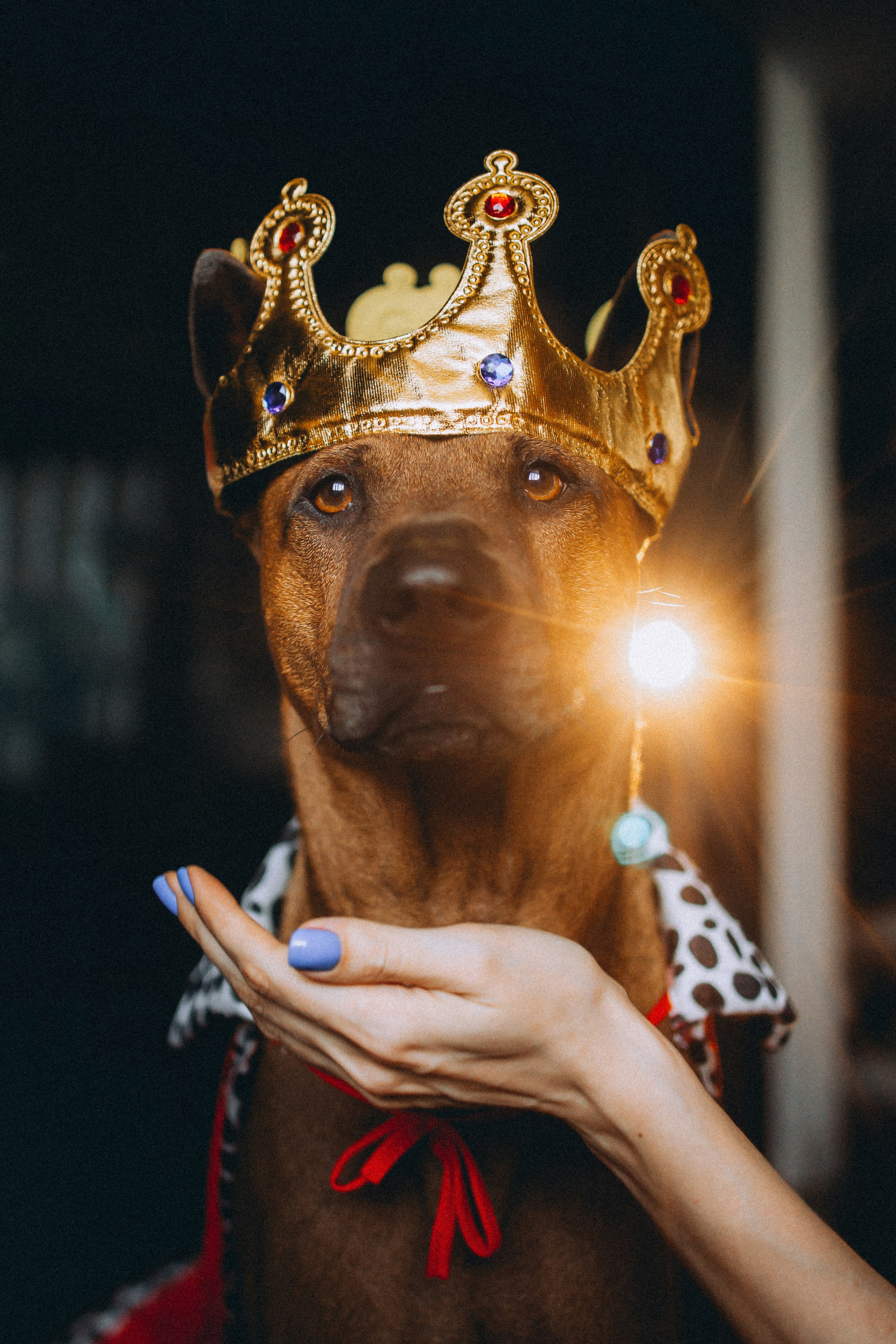 Оксана и Зевс