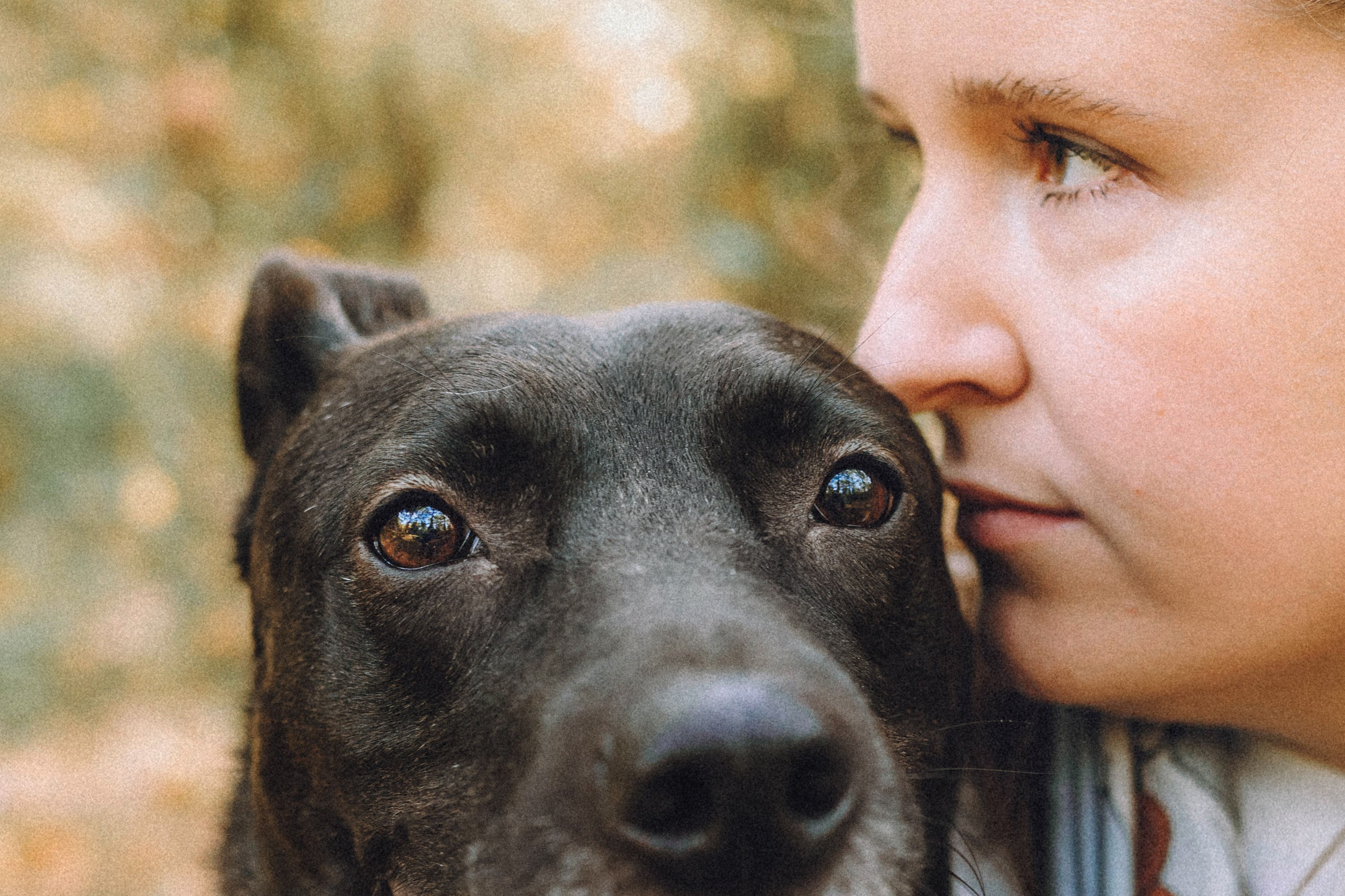 Ксюша, Ваня и Рамона