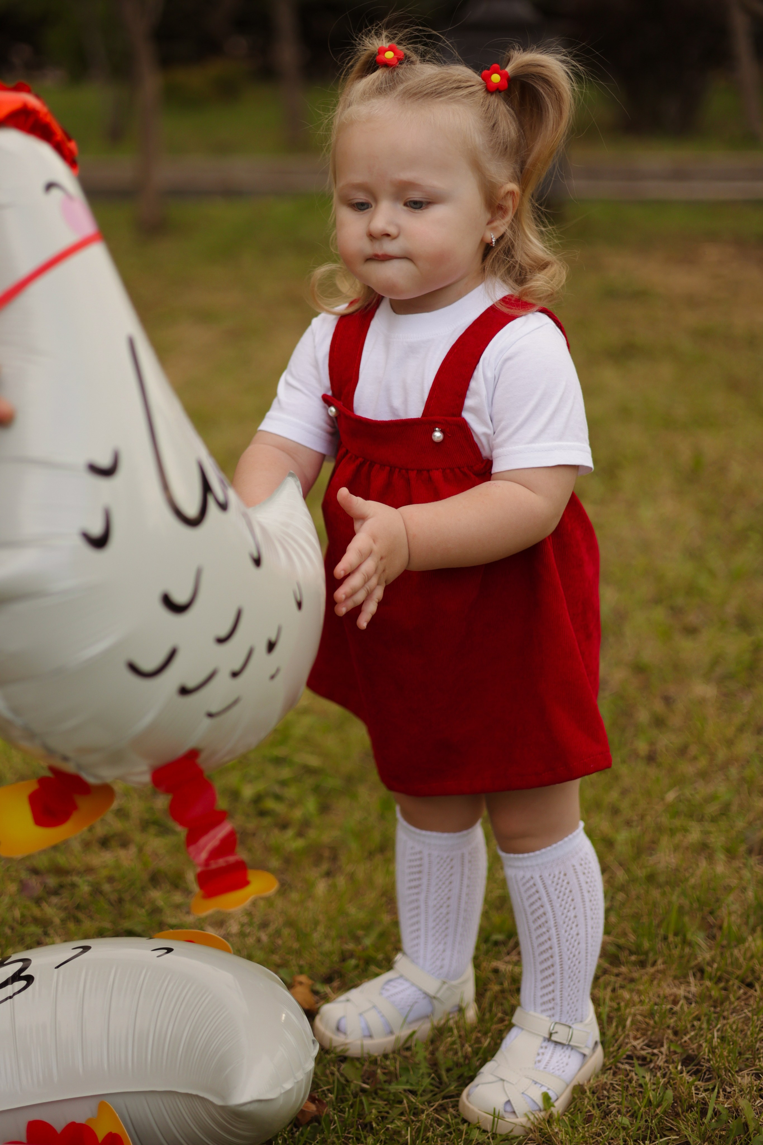 Одним летним днем …🐓. Фотограф Донецк Александра Юрку