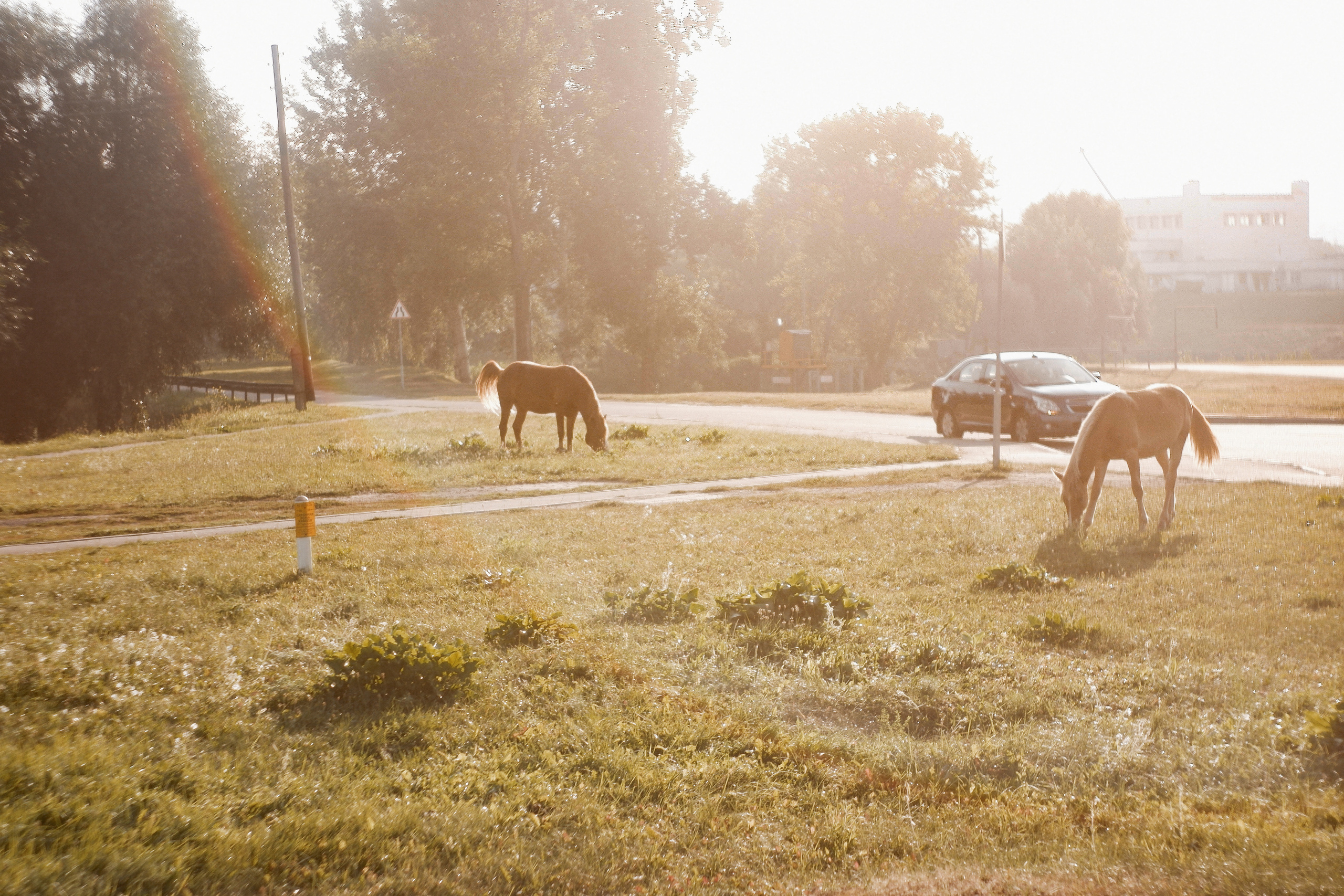 Street photo. Фотограф (photographer) Lischinski Vitaliy