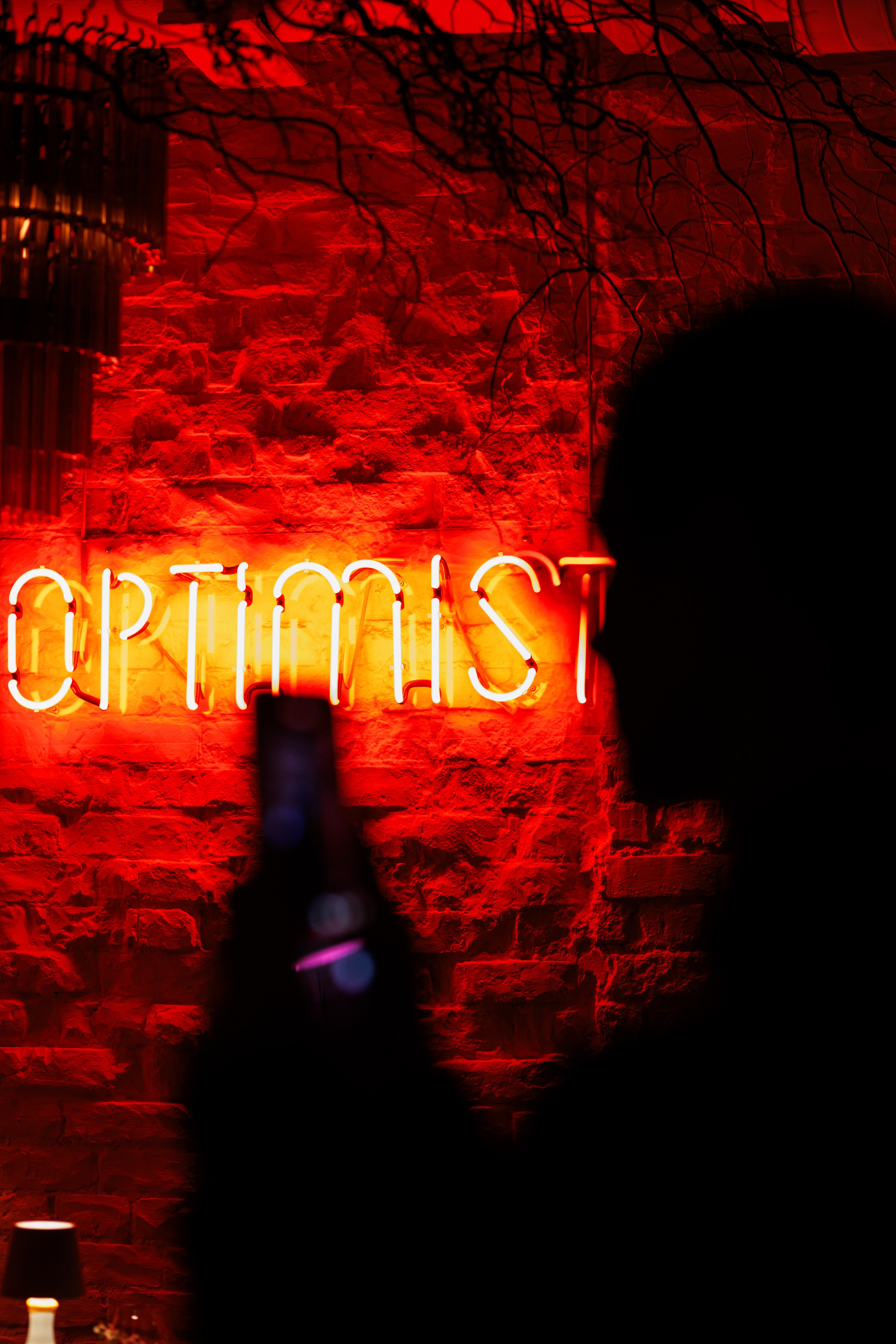 День рождения винного бара Оптимист. Https://andreysolodov.ru