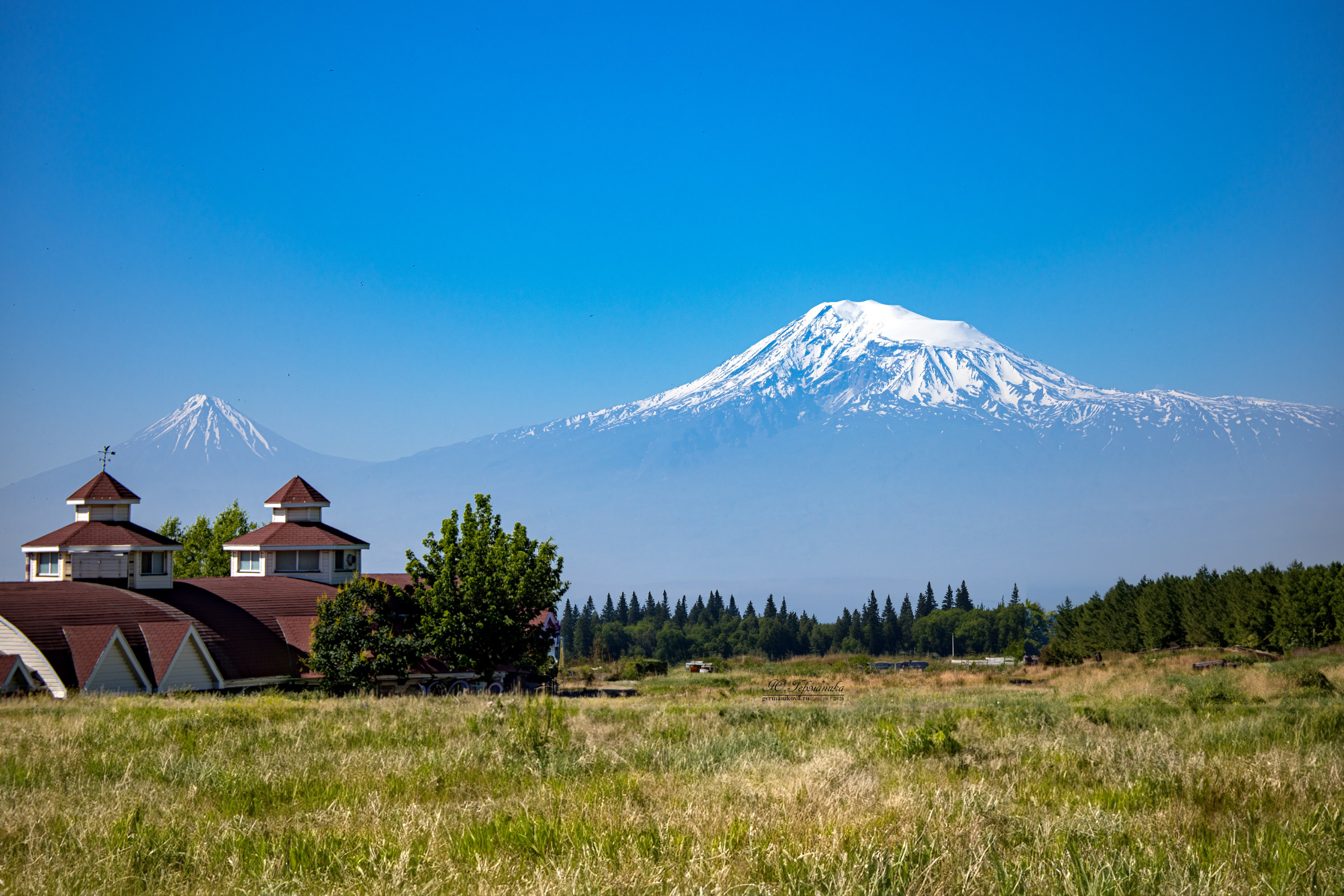 Ереван 3-5.06.2024. Фотограф-анималист Юлия Германика