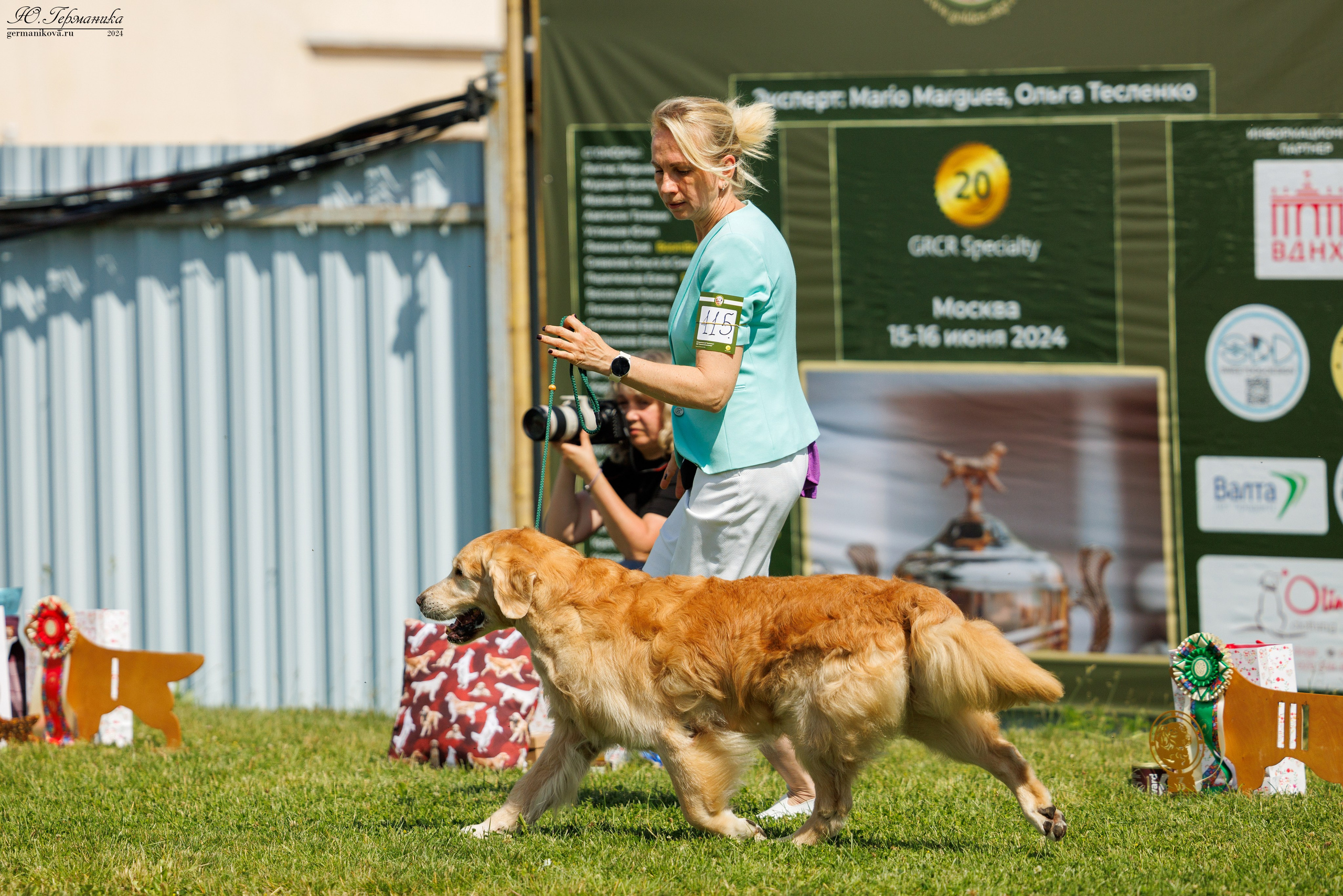 Голдены 15-16.06.2024. Фотограф-анималист Юлия Германика