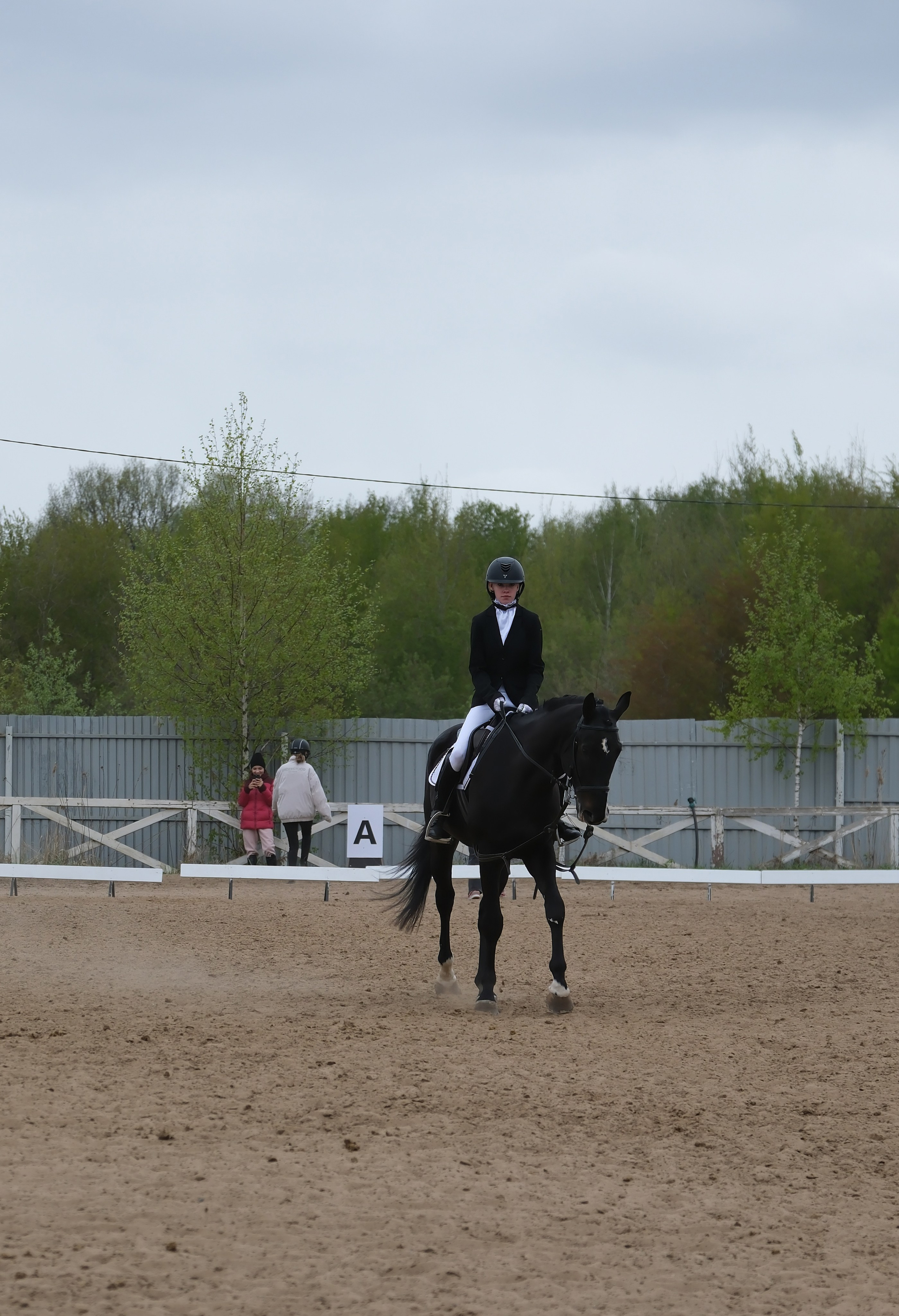 Соревнования по конному спорту в КСК «АЛЛЮР»!. Добро пожаловать в студию «Цифровой скульптор»  где искусство встречается с технологиями!