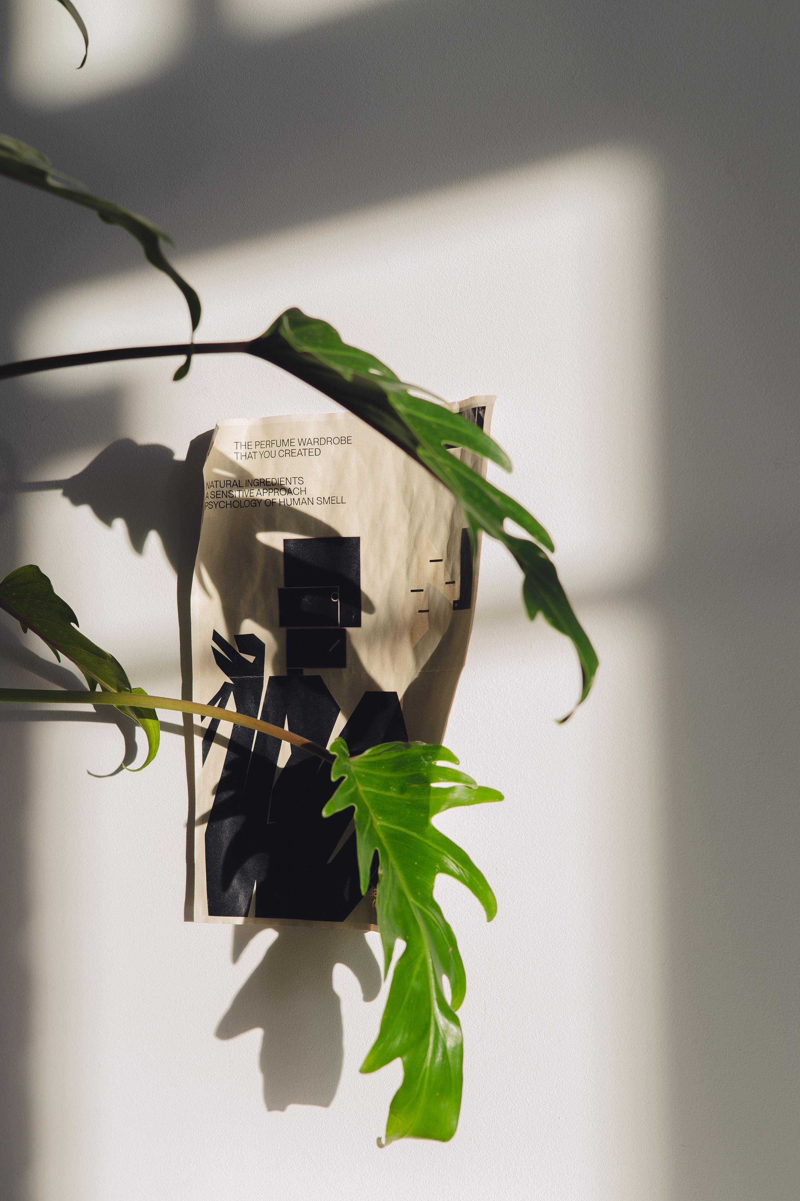 Предметная съемка для бизнеса. Фотограф в Санкт-Петербурге Осокина Елизавета