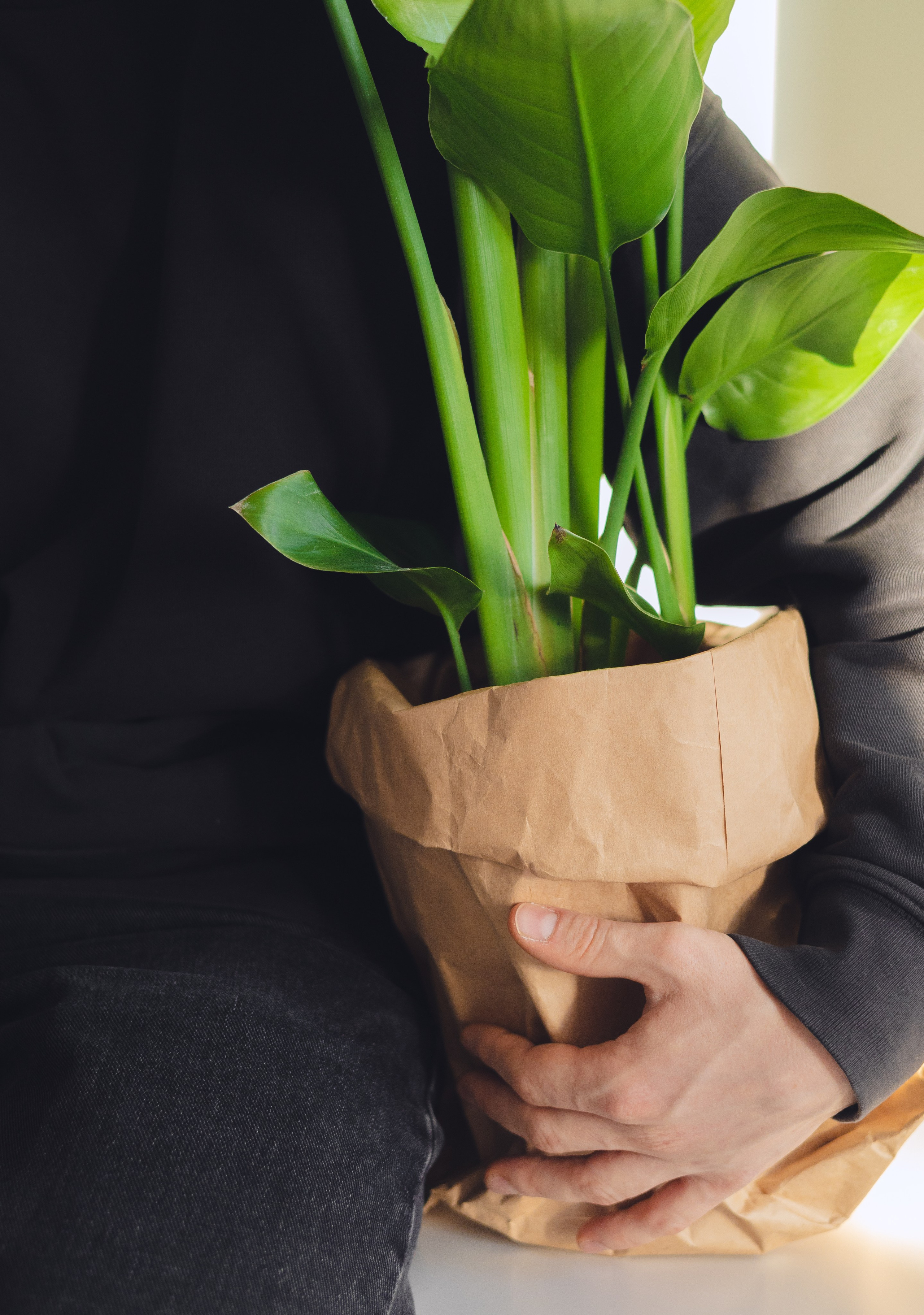 Предметная съемка для бизнеса. Фотограф в Санкт-Петербурге Осокина Елизавета
