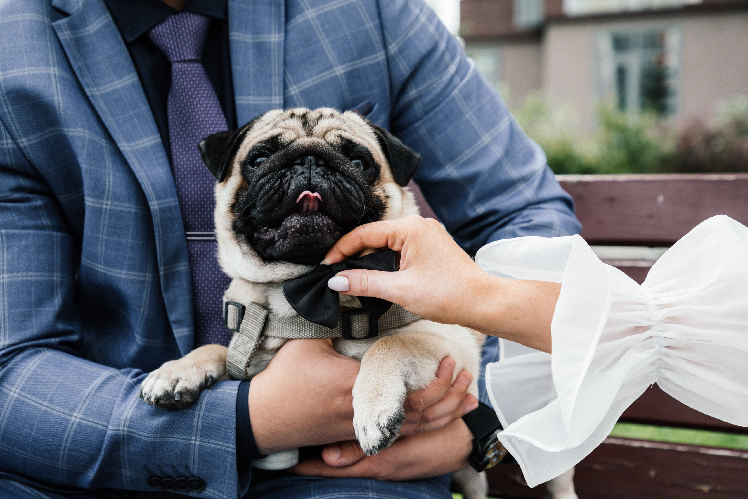 Ольга и Алексей. Свадебный фотограф в Санкт-Петербурге Анастасия Андреева
