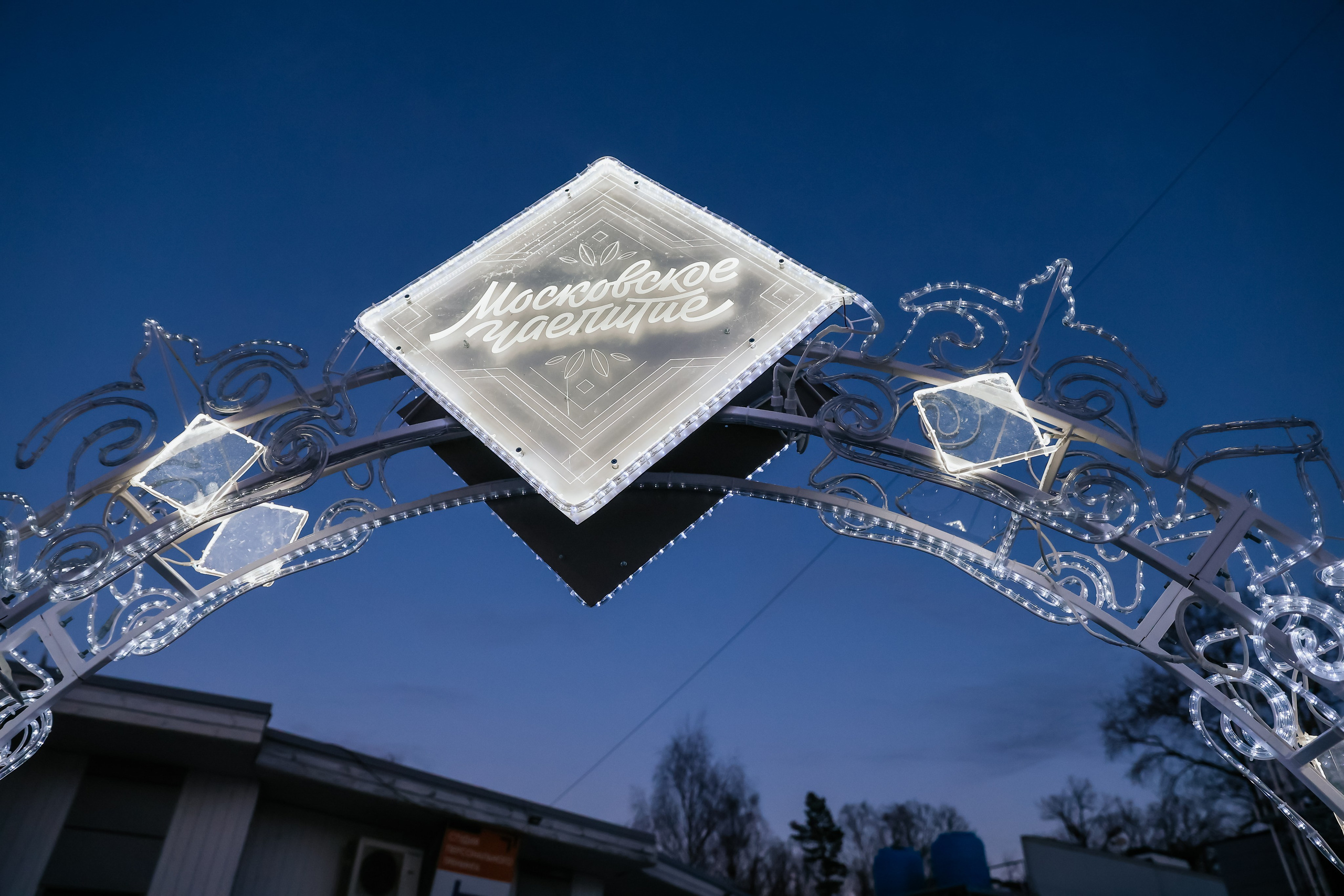 Ледовое шоу Сокольники Московское Чаепитие. Фотограф и видеограф Анна Домашенко