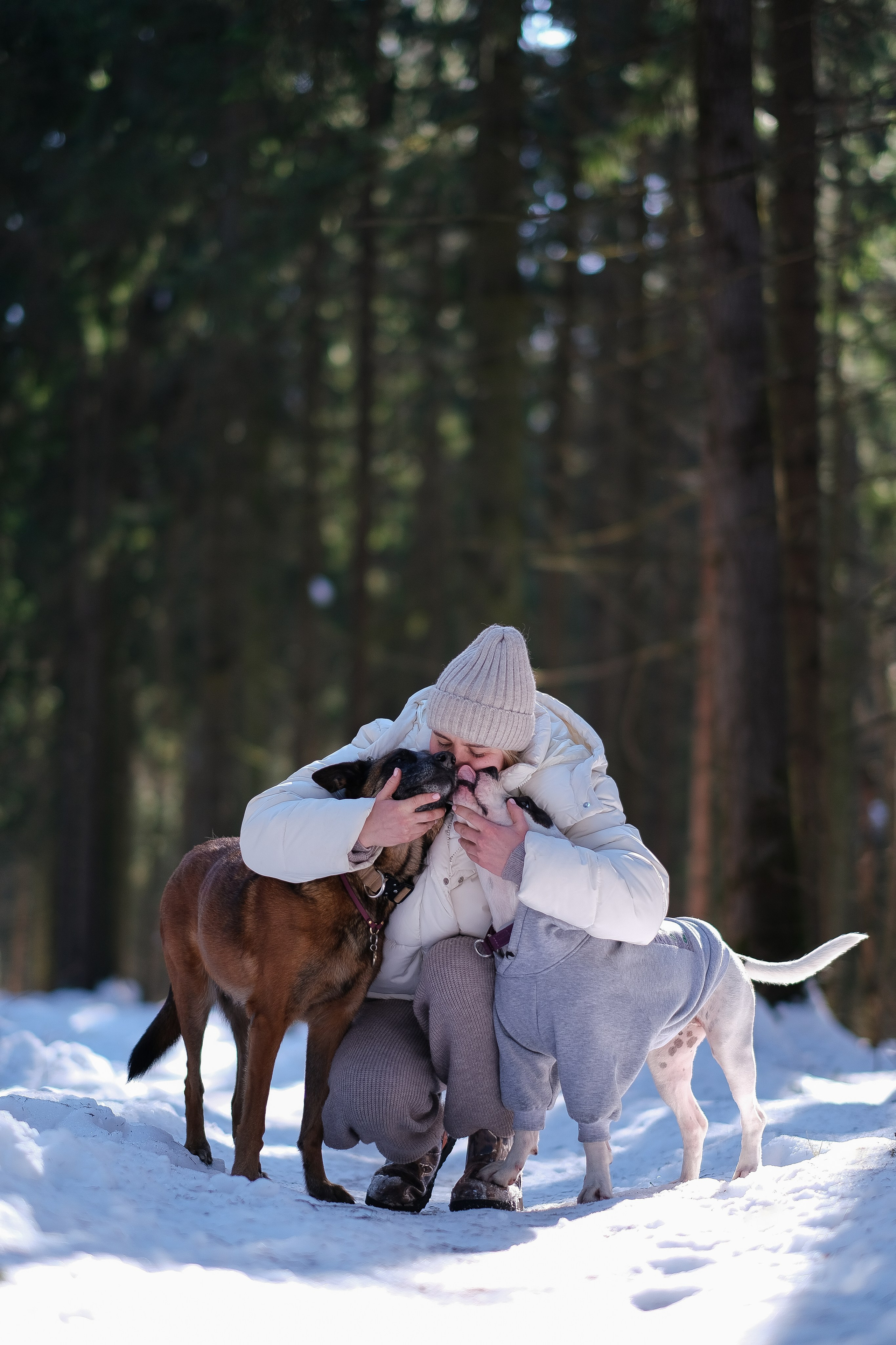 Женя, Афра и Молли. Фотограф и видеограф анималист Аганина Дарья