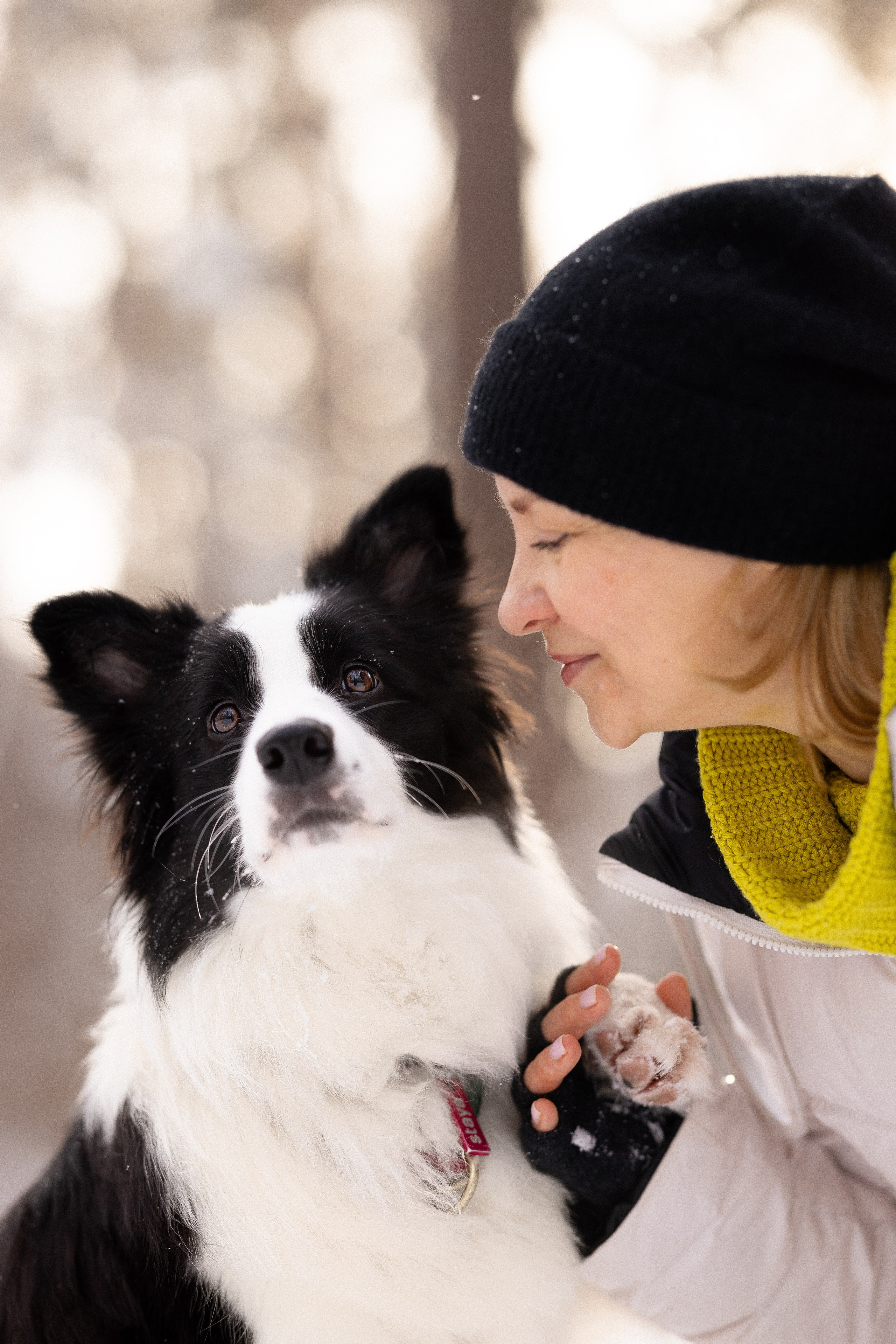 Лилия, Алексей и Ариана. Фотограф и видеограф анималист Аганина Дарья