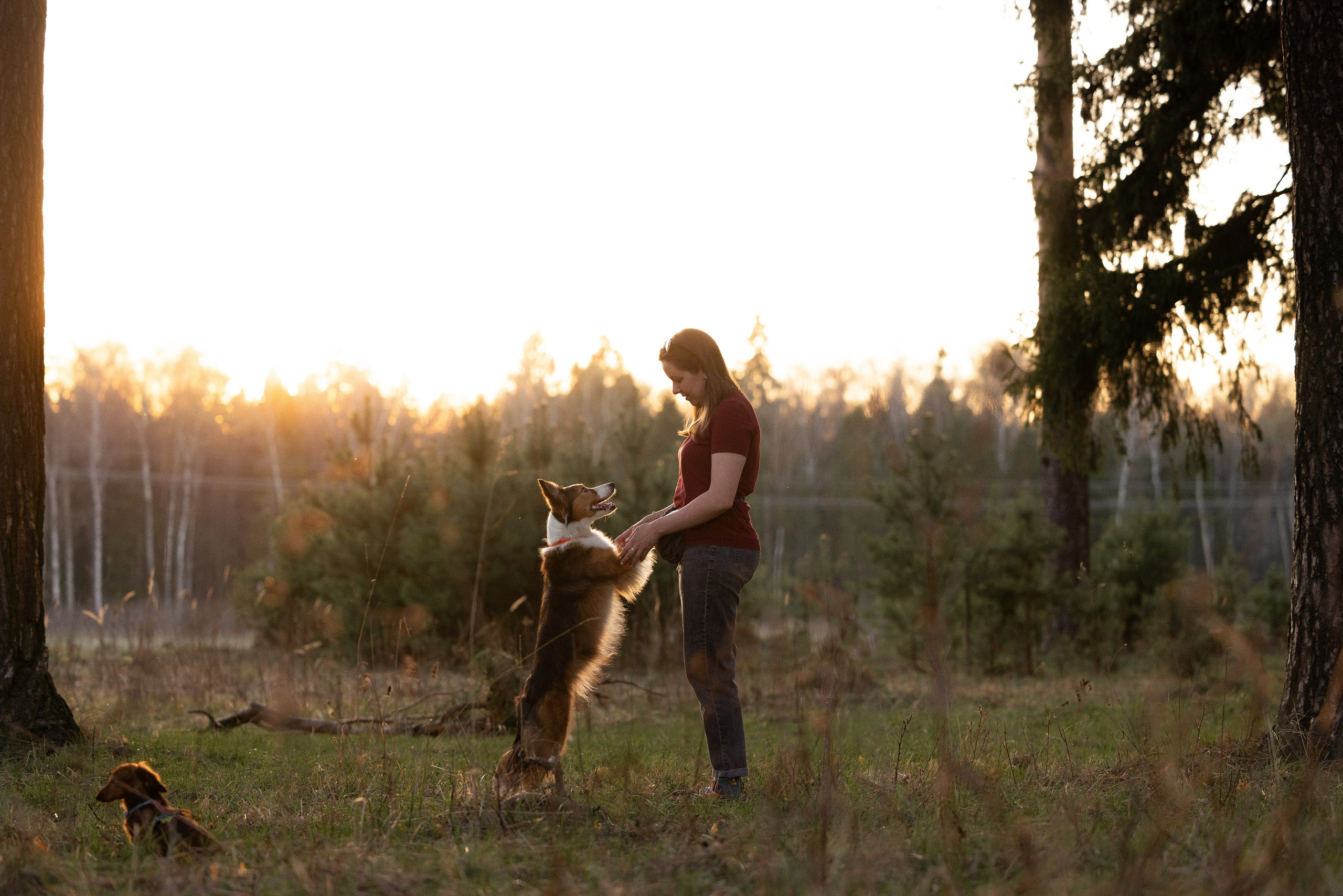 Разношерстная компания. Фотограф и видеограф анималист Аганина Дарья