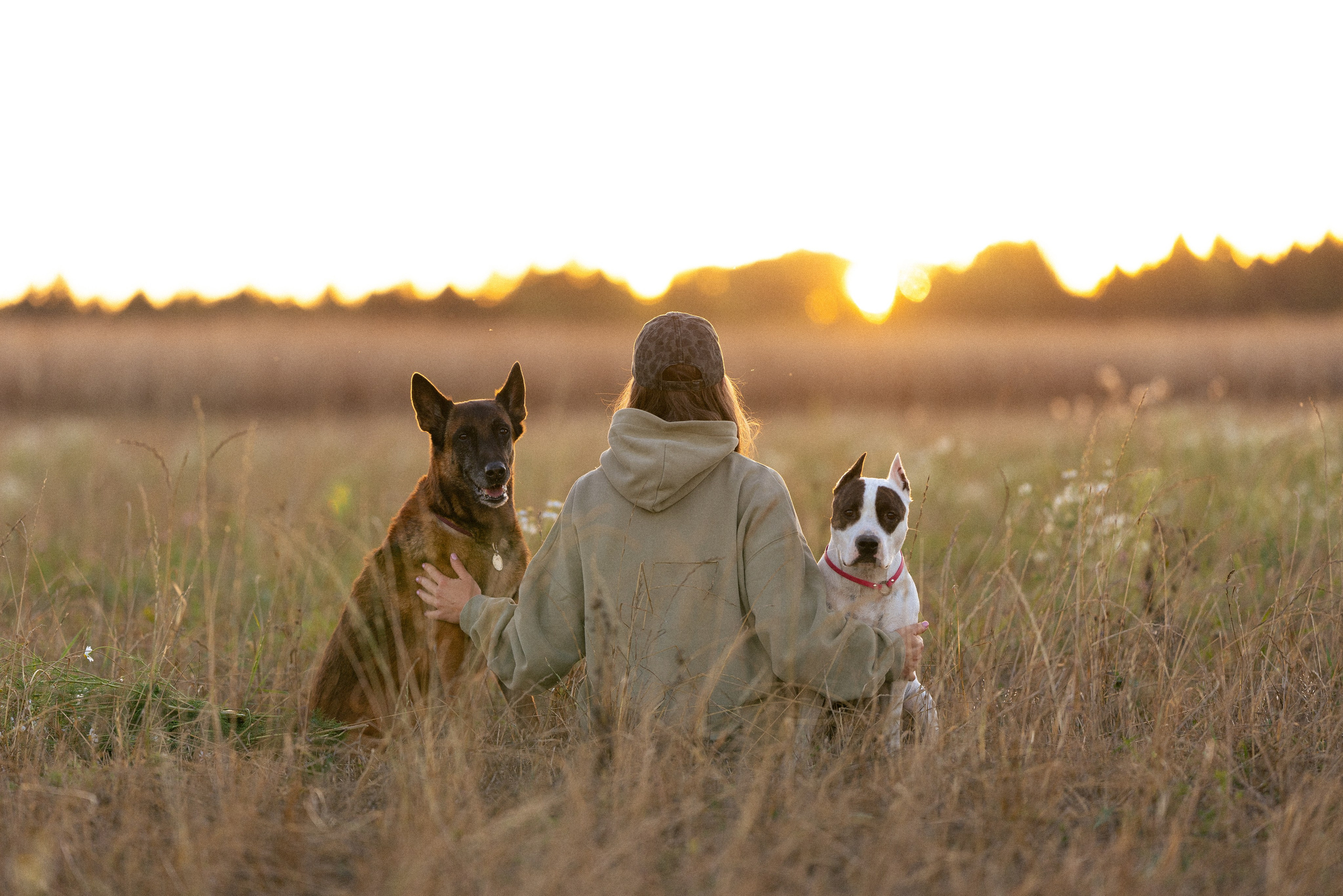 Женя, Афра и Молли. Фотограф и видеограф анималист Аганина Дарья