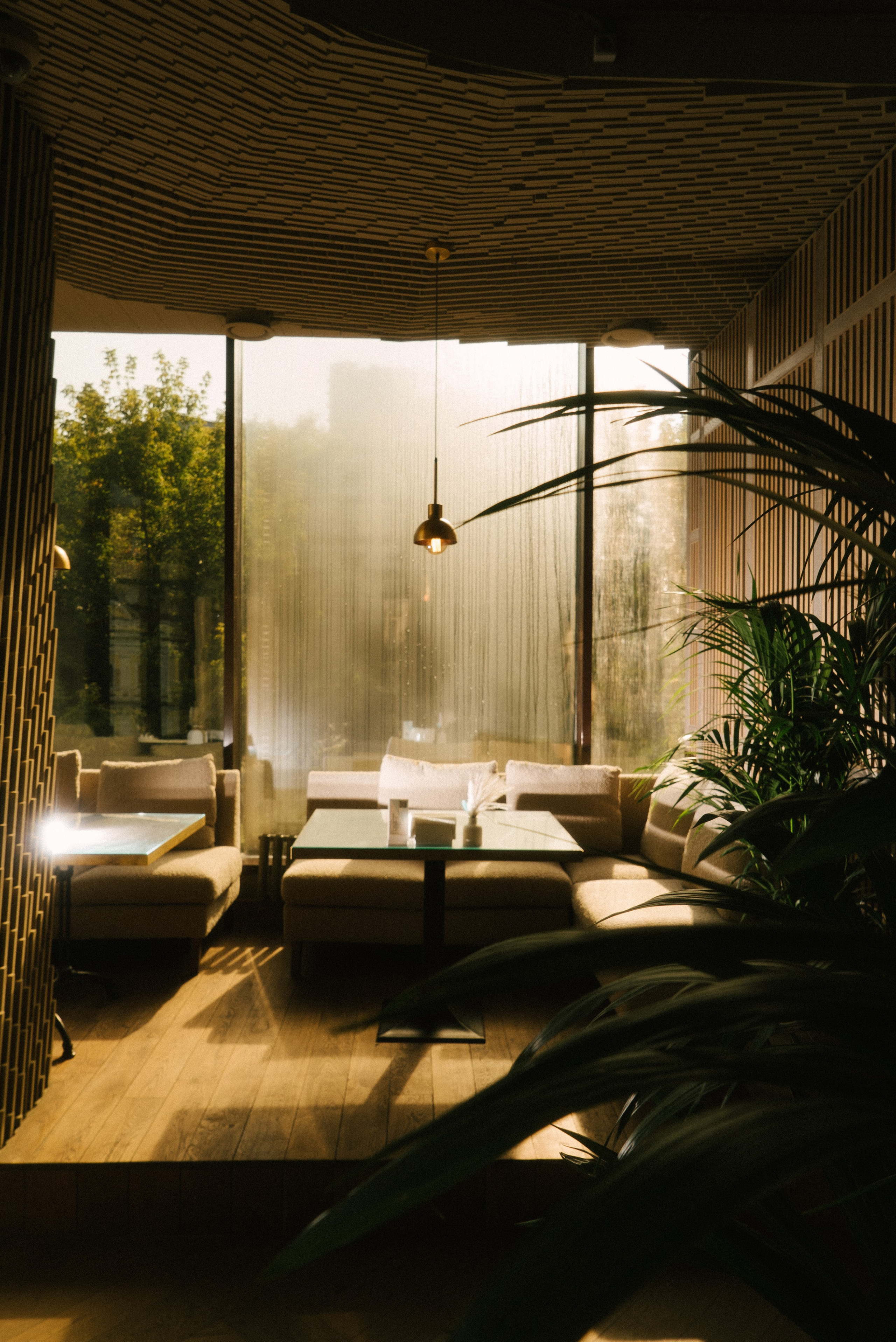 Контент для ресторанов. Фотограф Владимир Тришин