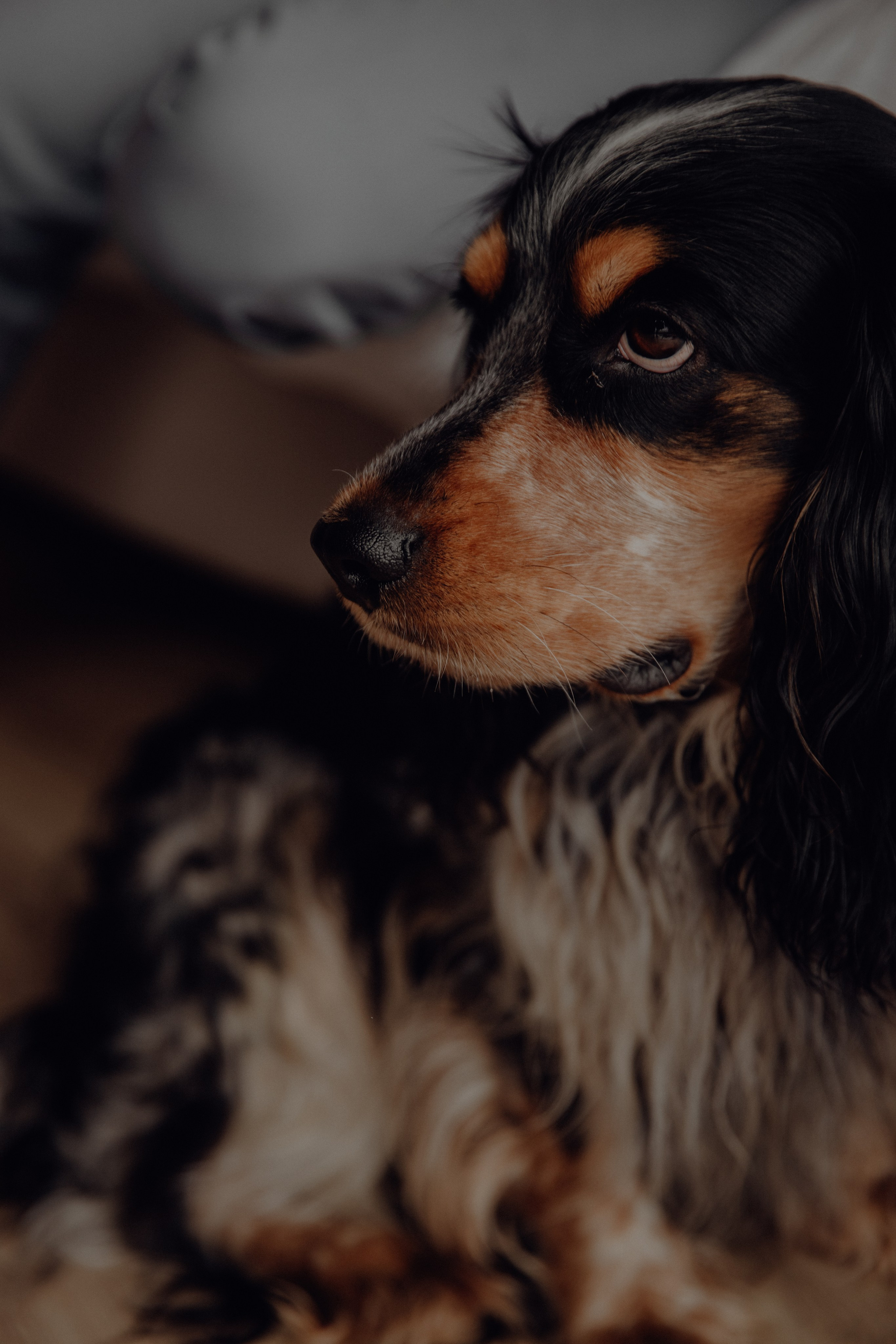 Ася ღ Заур. Портфолио