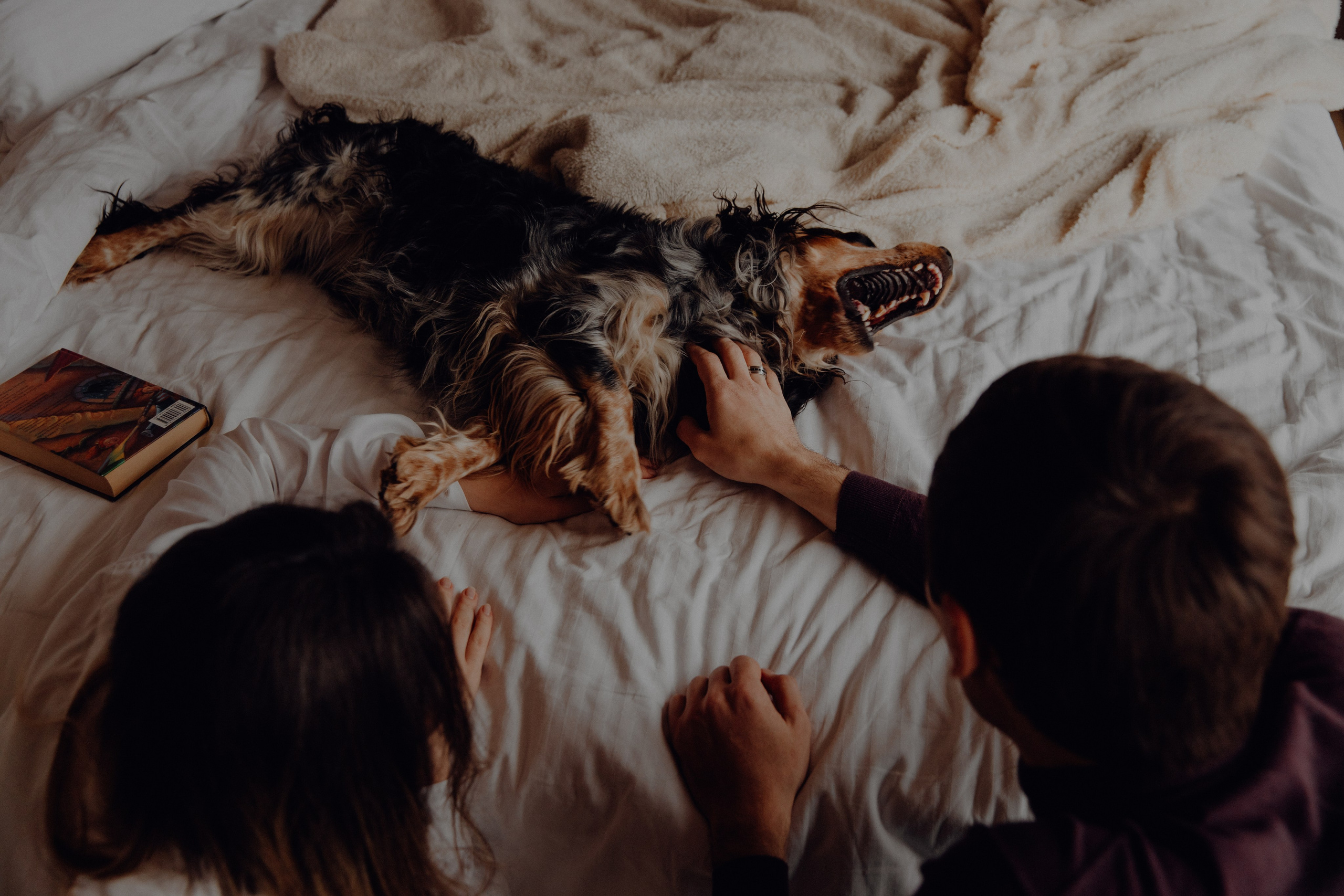 Ася ღ Заур. Портфолио