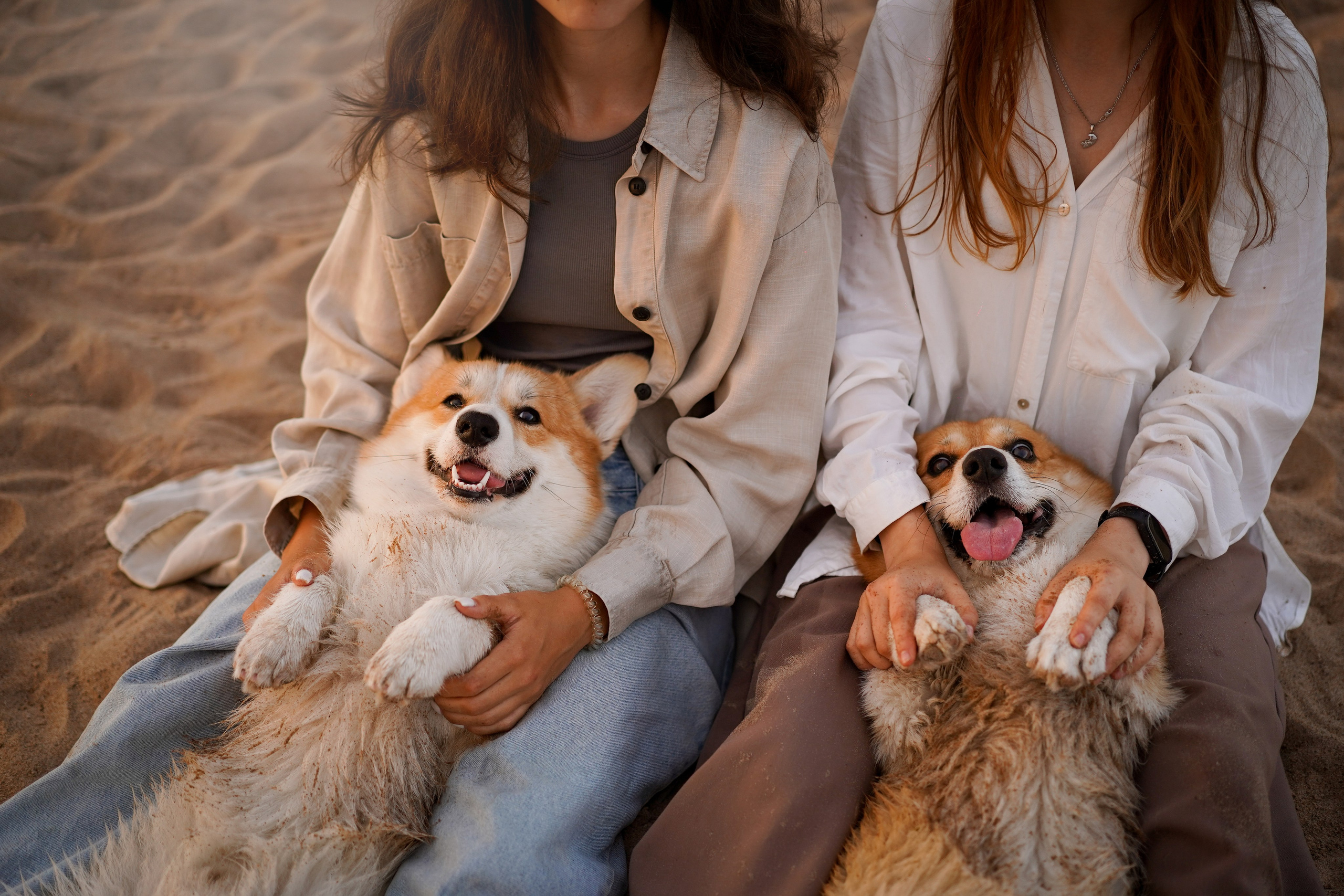 Катя Алиса и коржики. Фотограф-анималист в Санкт-Петербурге Яна Мартынова