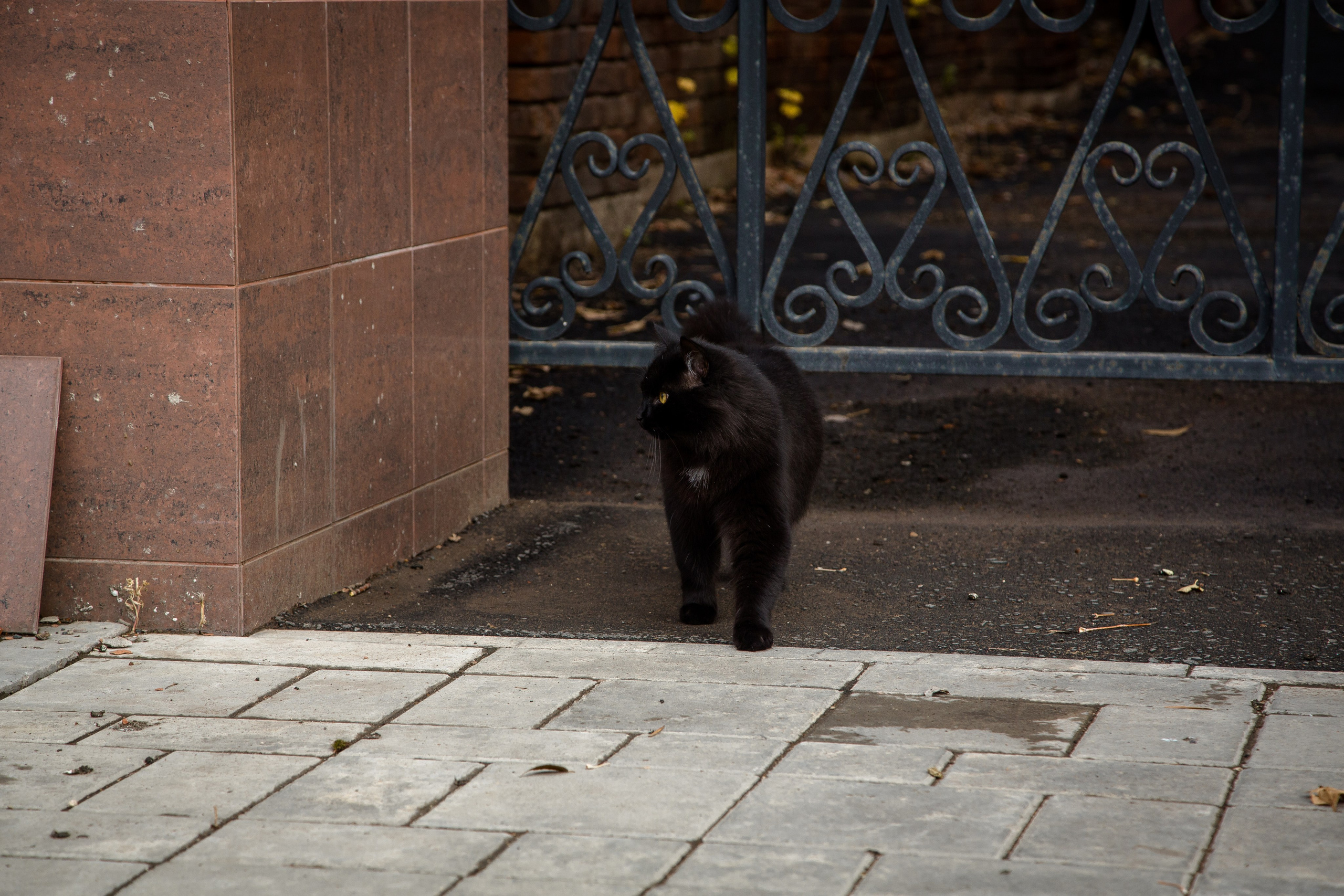 Старый Оренбург. Ваш фотограф в Оренбурге Рощупкина Екатерина