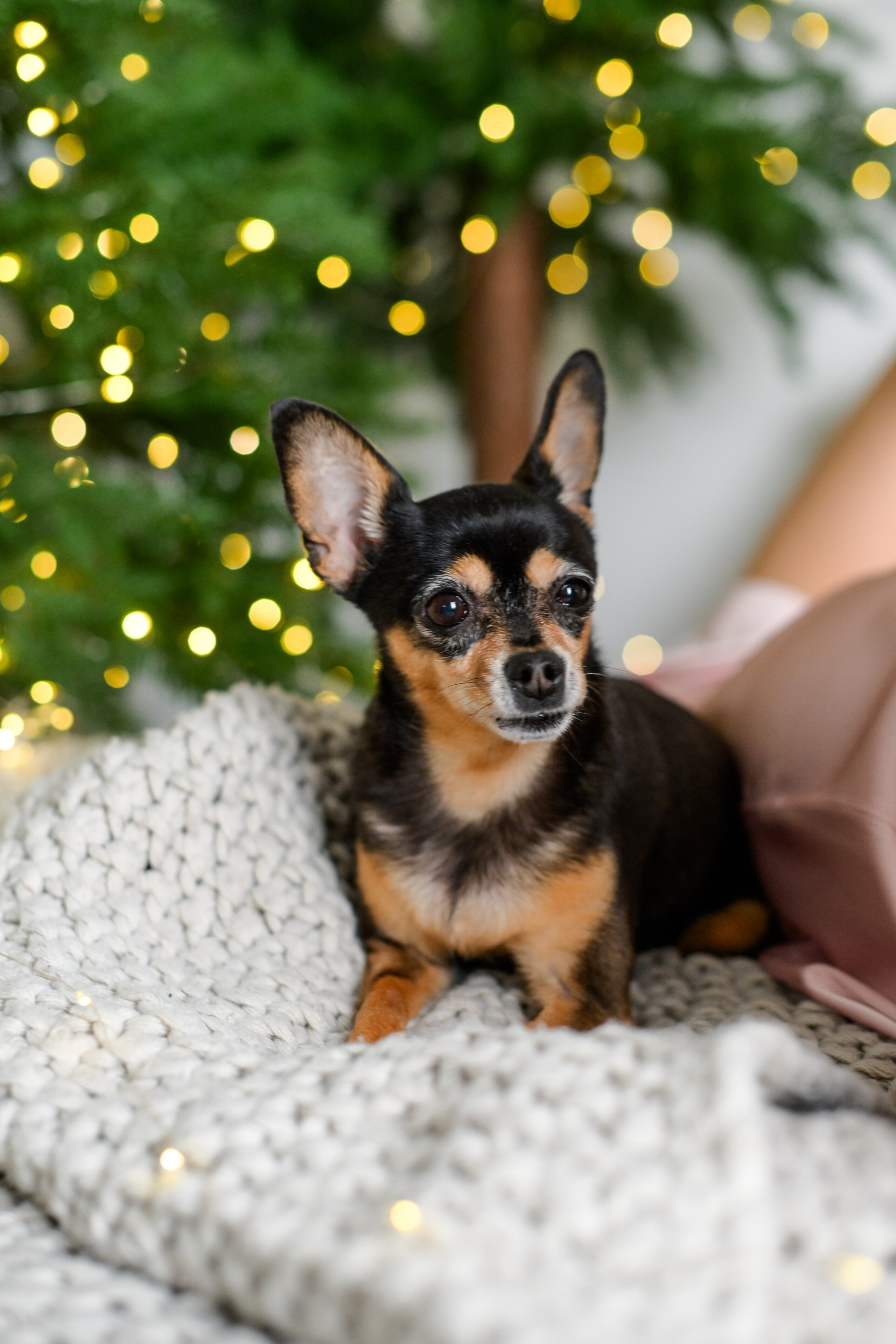 Катюша и Елена