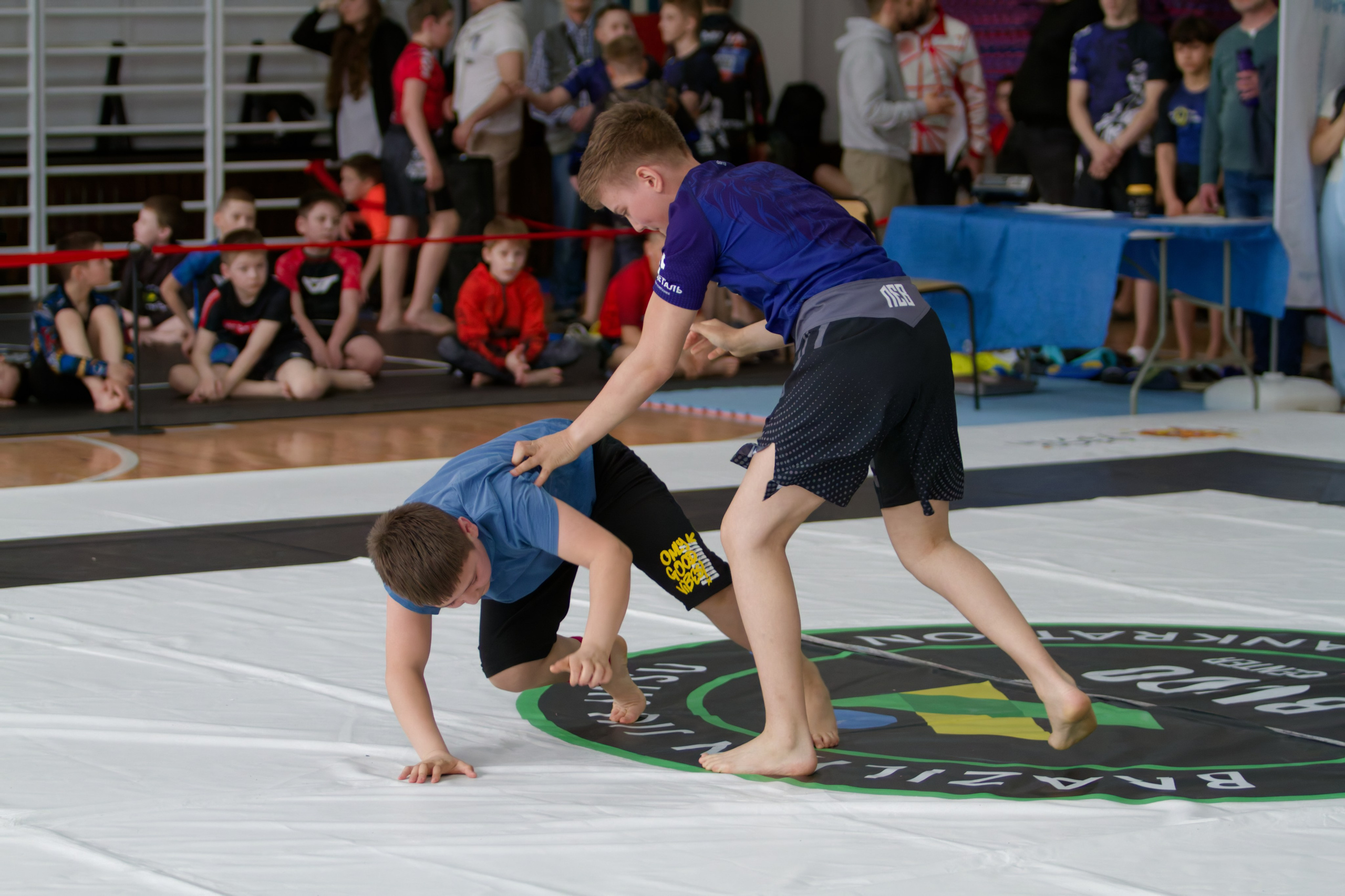 Борьба. Джиу-джитсу 26.04.2025. Репортажный и спортивный фотограф в г. Пермь Зильберг Павел