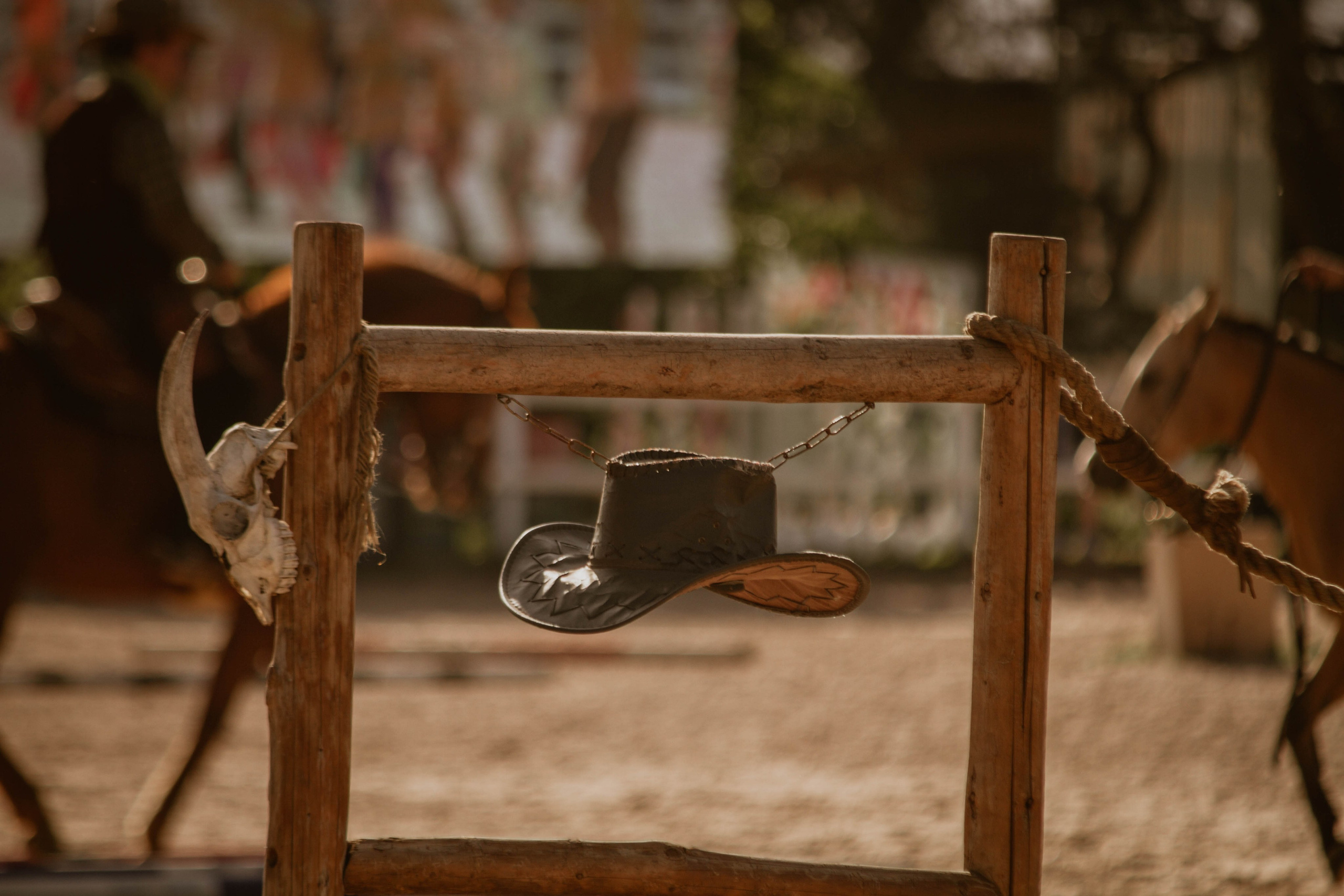 ИППОСФЕРА — Международная конная выставка. Создадим шедевр? Виталина и её фотоискусство