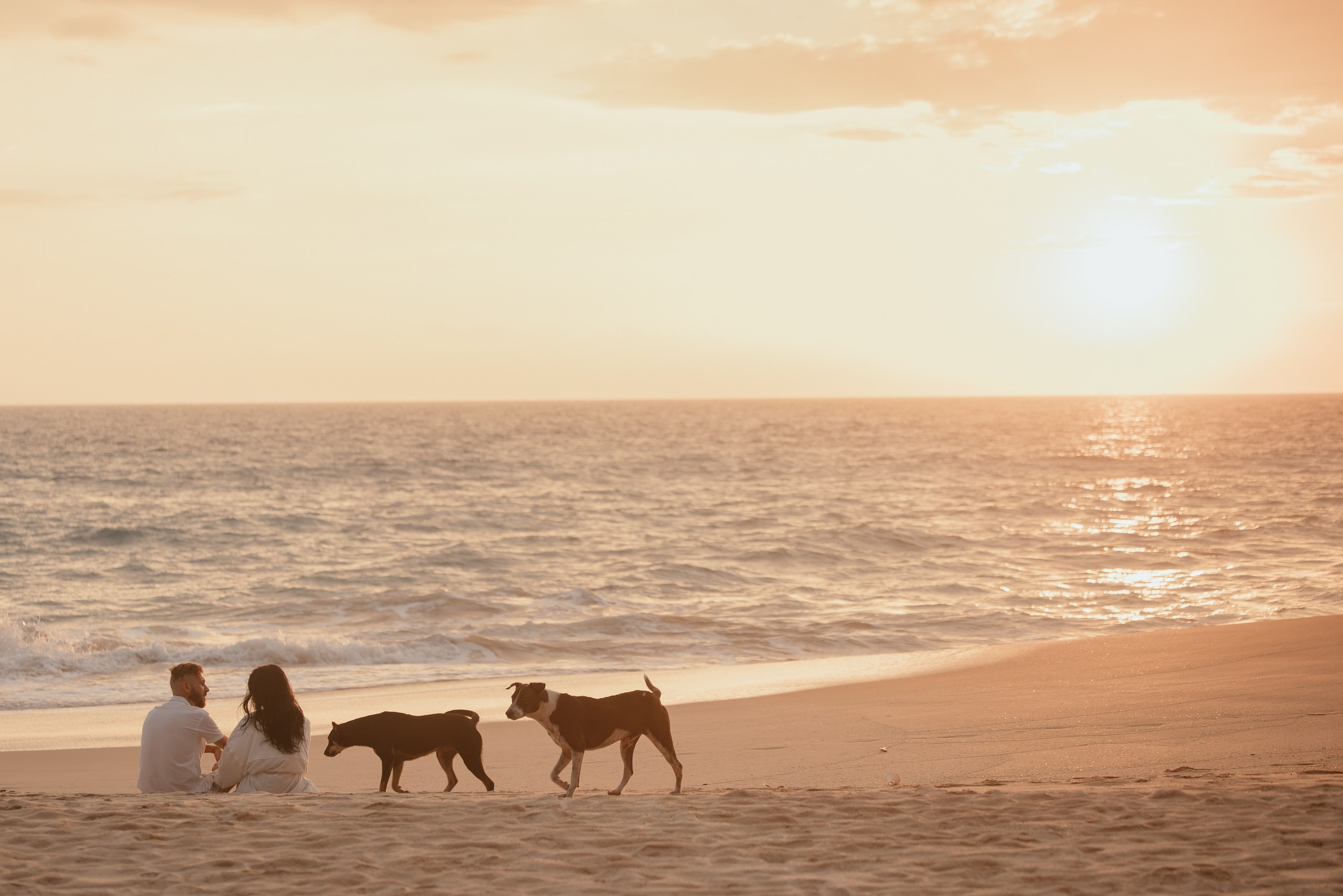 Лавстори. Фотограф Николай Петрушкин | Ставрополь, Москва