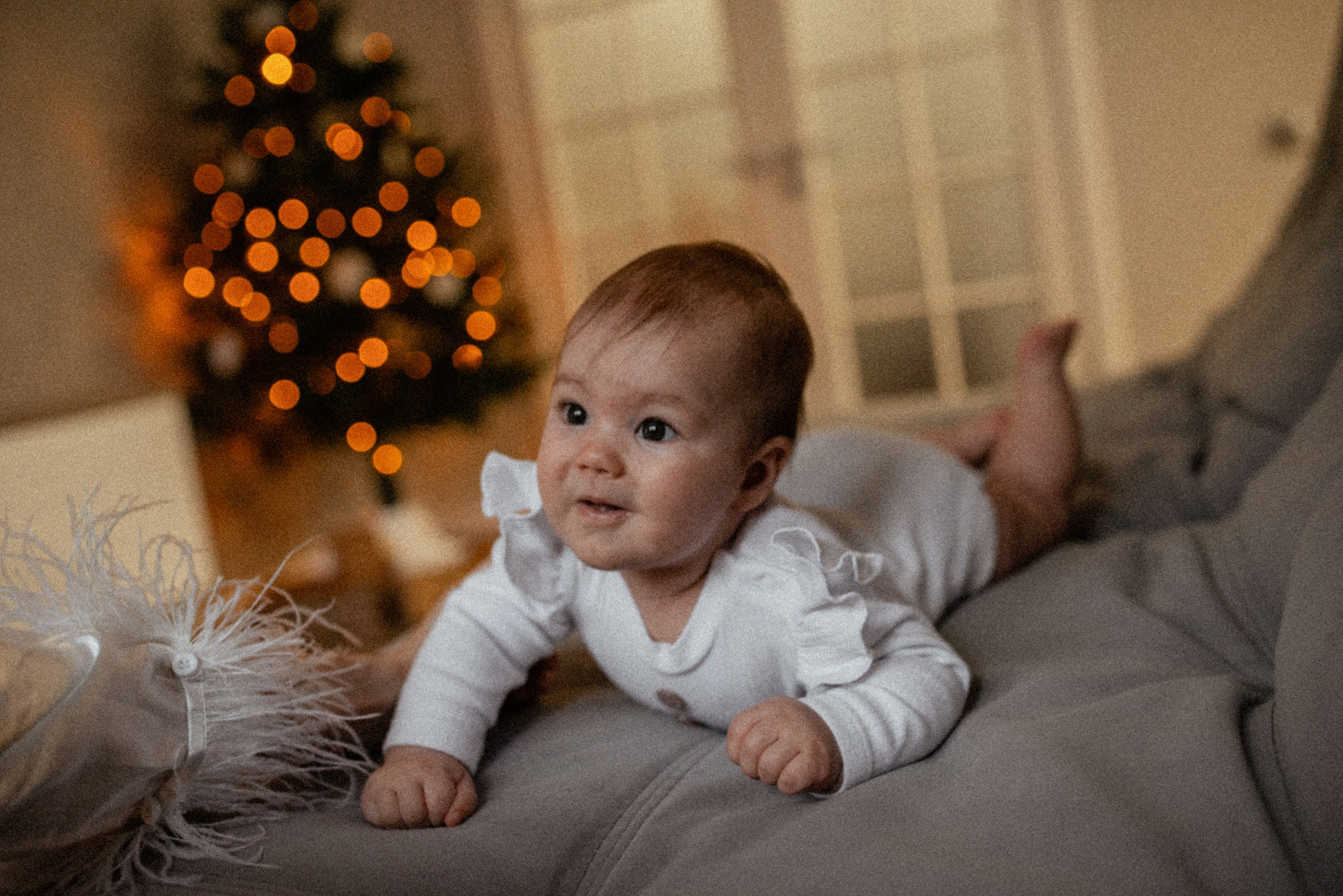 Домашняя 26.11.23. Галина Чекунова Фотограф в Ростове-на-Дону