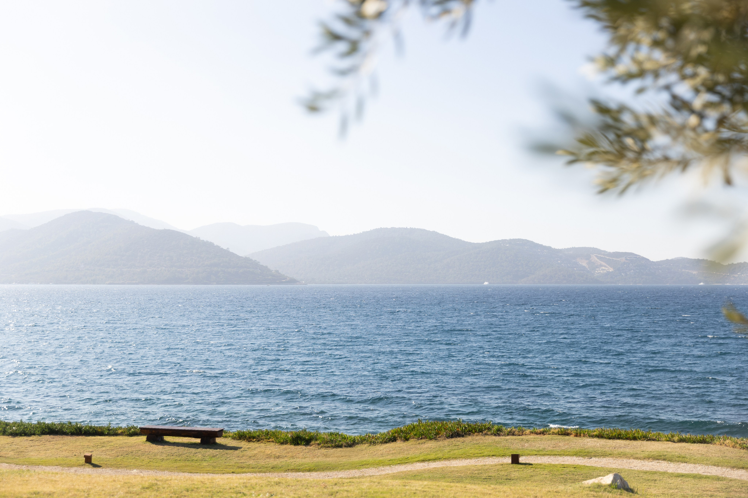 Алиса | Антон