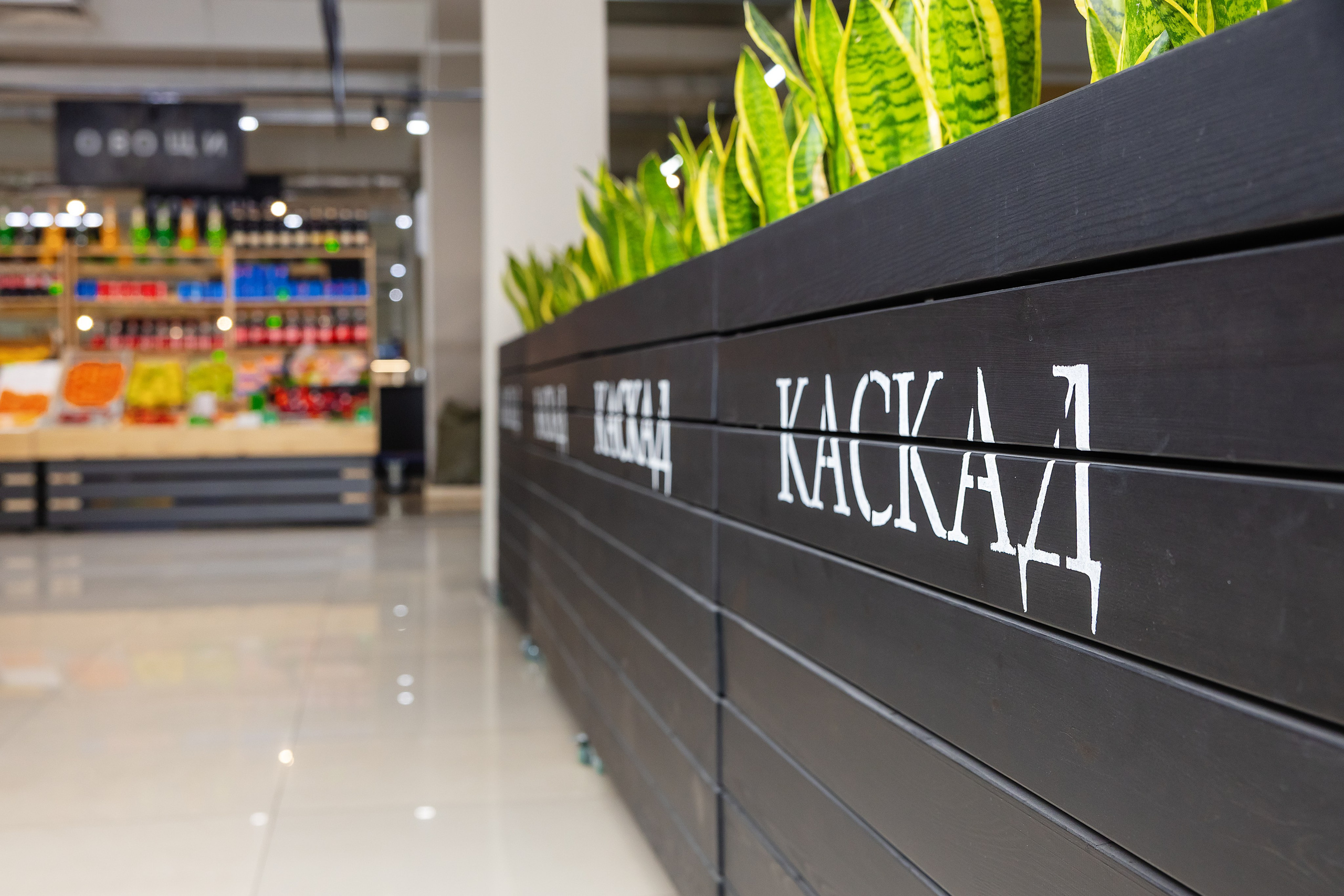 Рынок «Каскад». Фотограф и видеограф в Улан-Удэ: Аюна Габагуева и Артём Шаханов