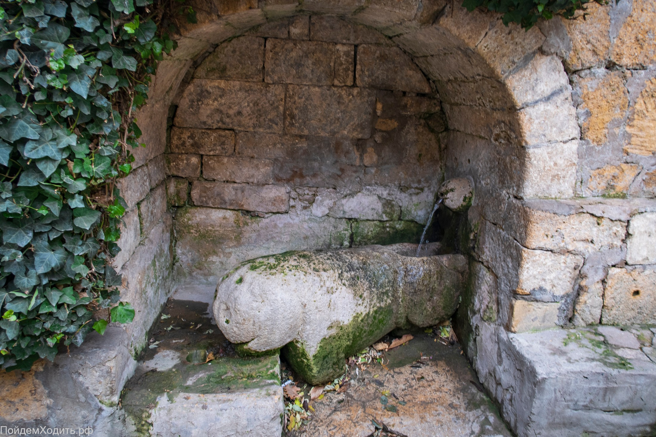 Nordic Walkers в Дагестане. Фото из походов и путешествий клуба скандинавской ходьбы Пойдем Ходить