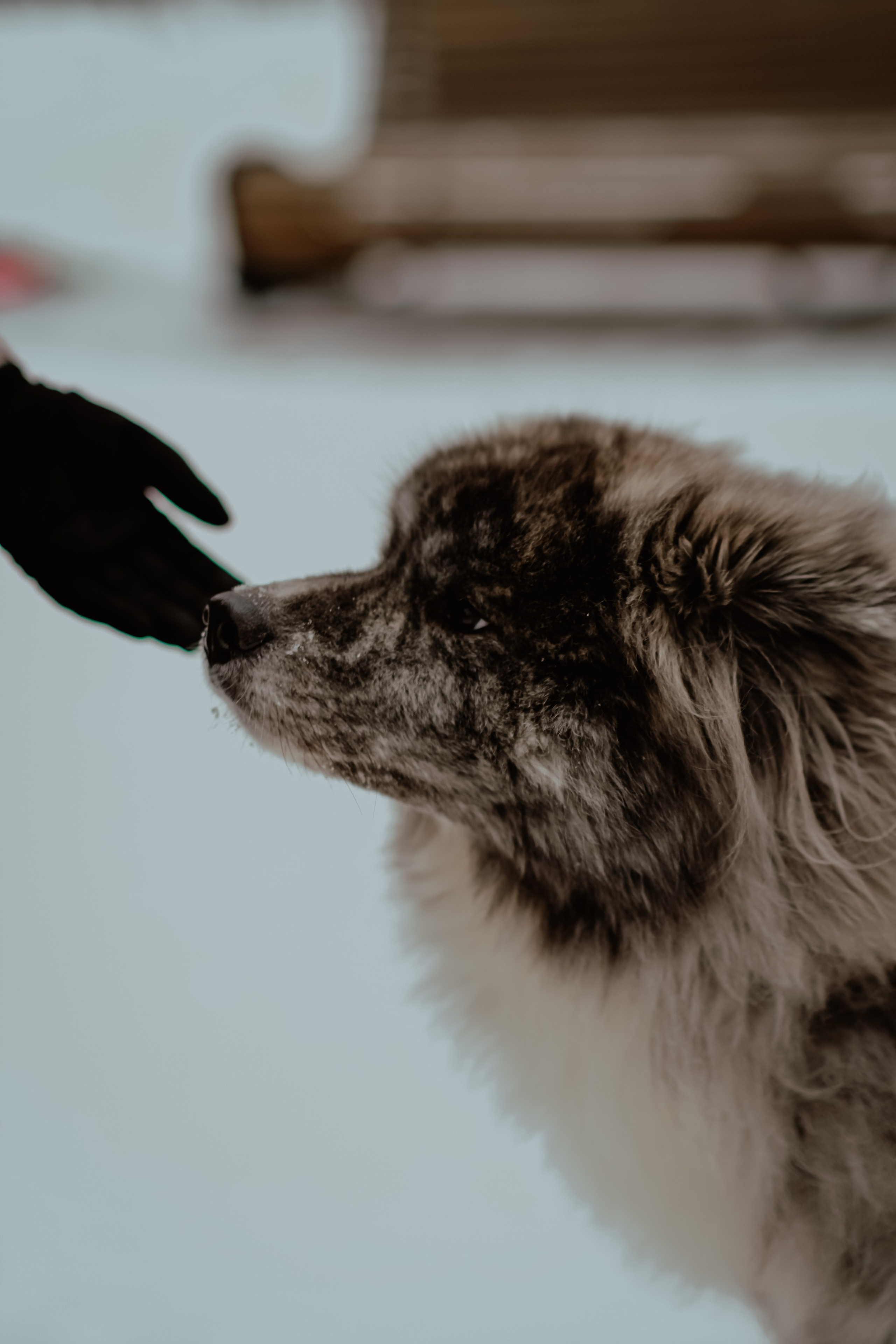Зимняя прогулка. Свадебный фотограф Челябинск