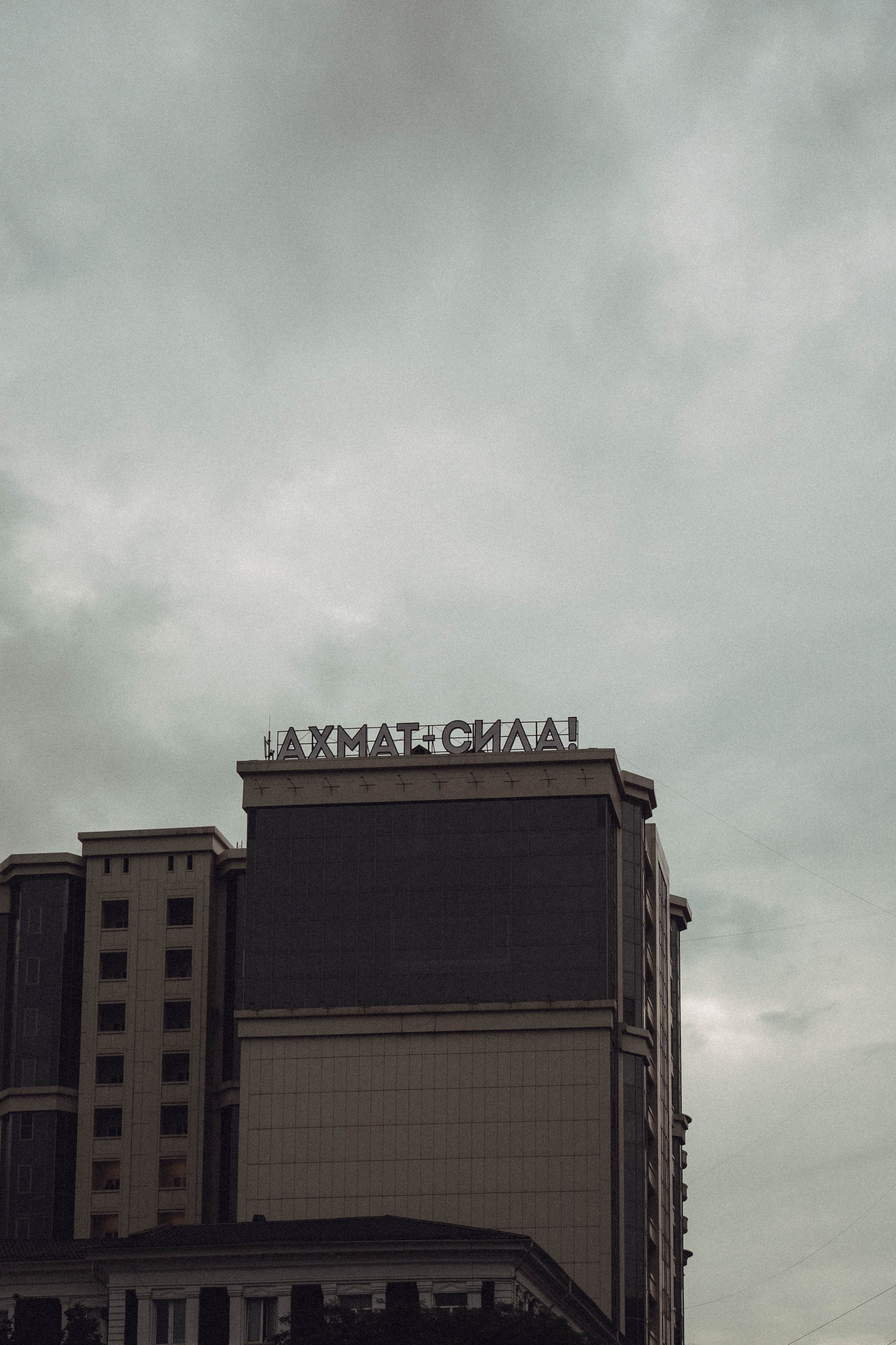 Кавказ. Профессиональный фотограф, Санкт-Петербург — Виктория Богомолова