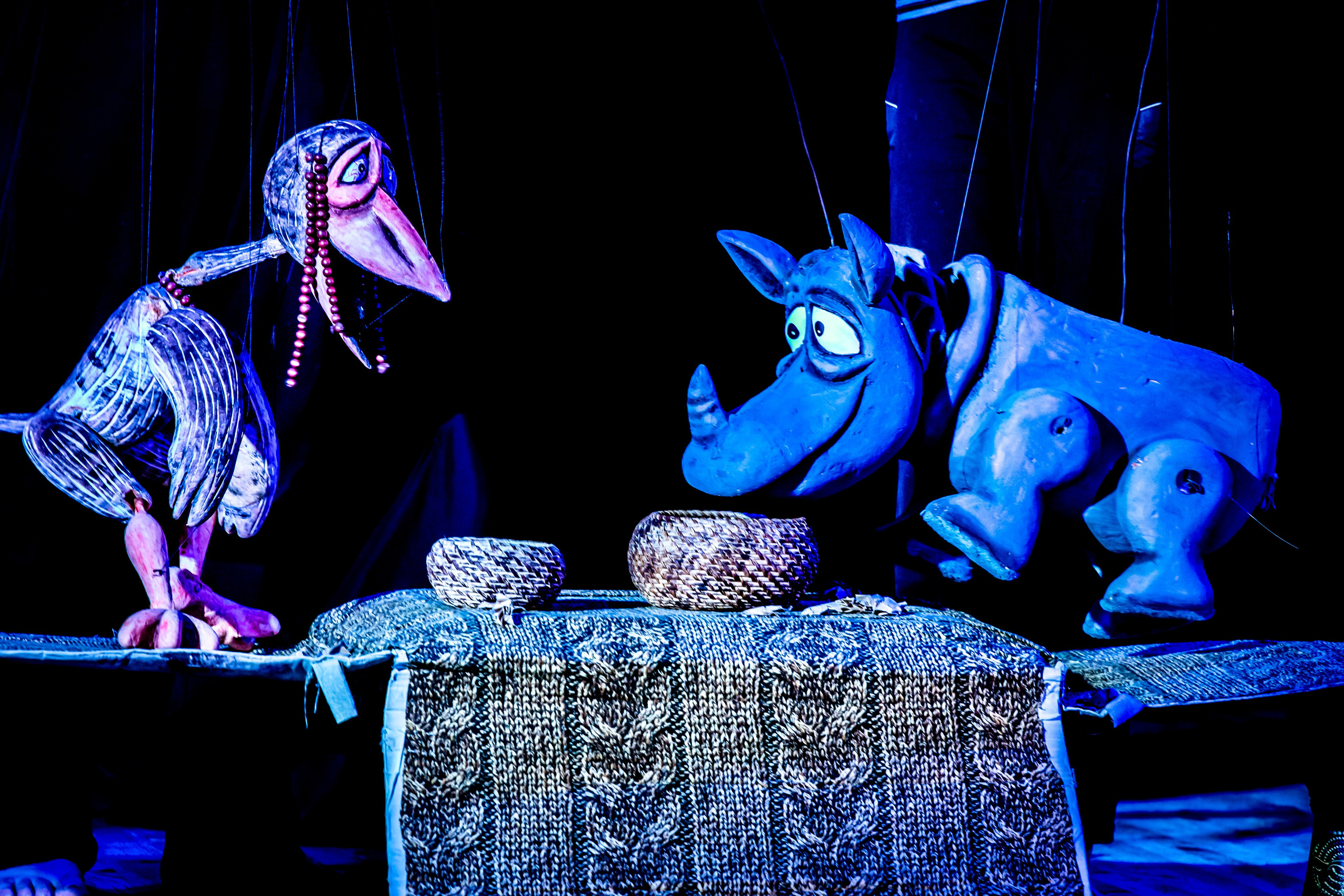 Жирафа и носорог спектакль театра Саквояж. Фотограф в Сочи Юрий Шептаев