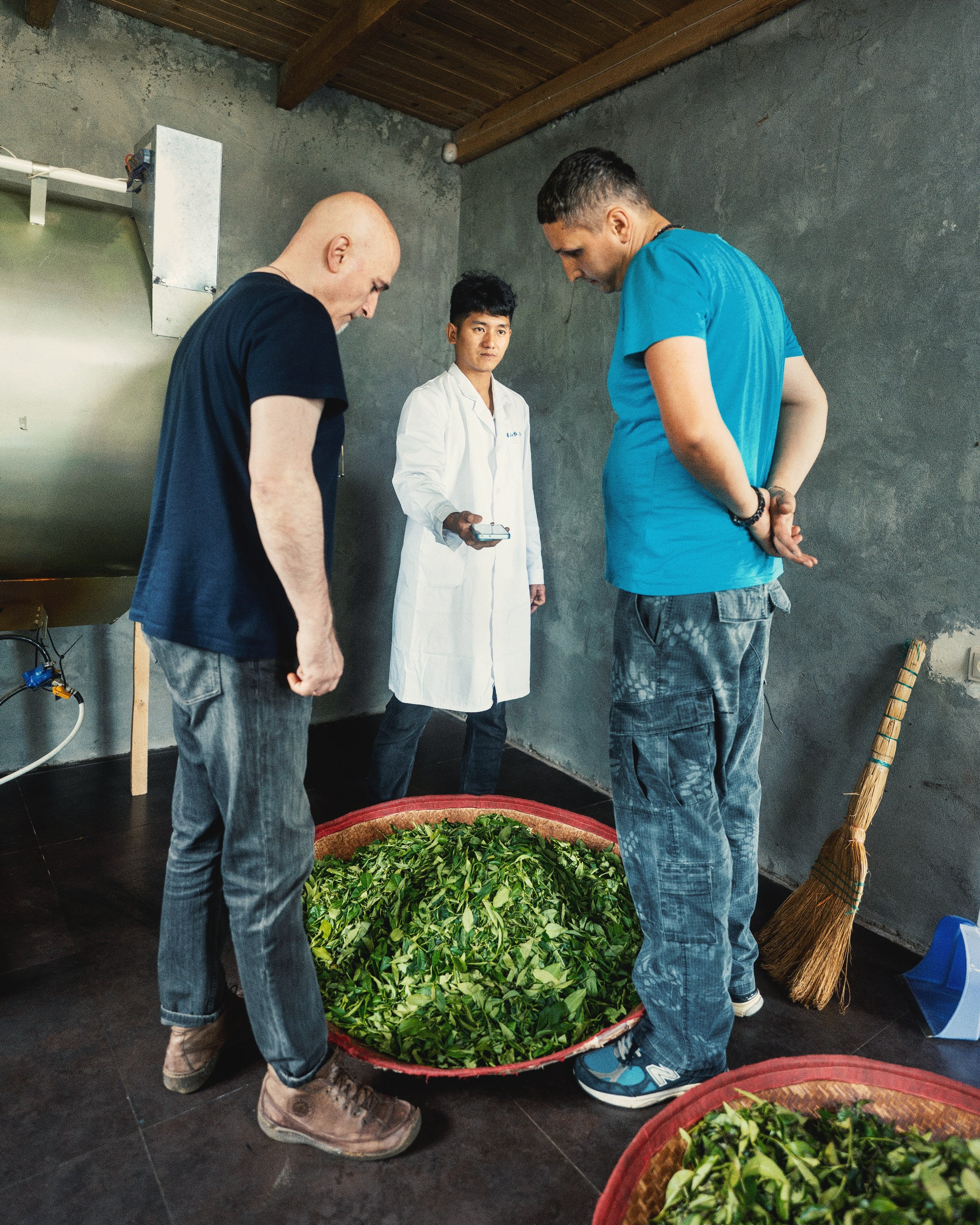 Tea production Moychay, Guria. Андрей Фадеев фото видео Тбилиси