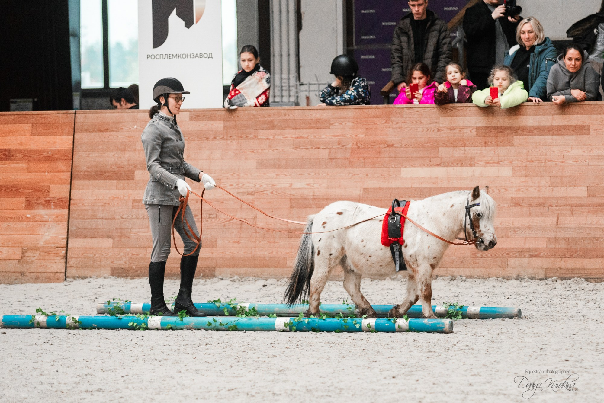8-я международная выставка Конная Россия. Конный фотограф Куракина Дарья • Фотосессии с лошадьми