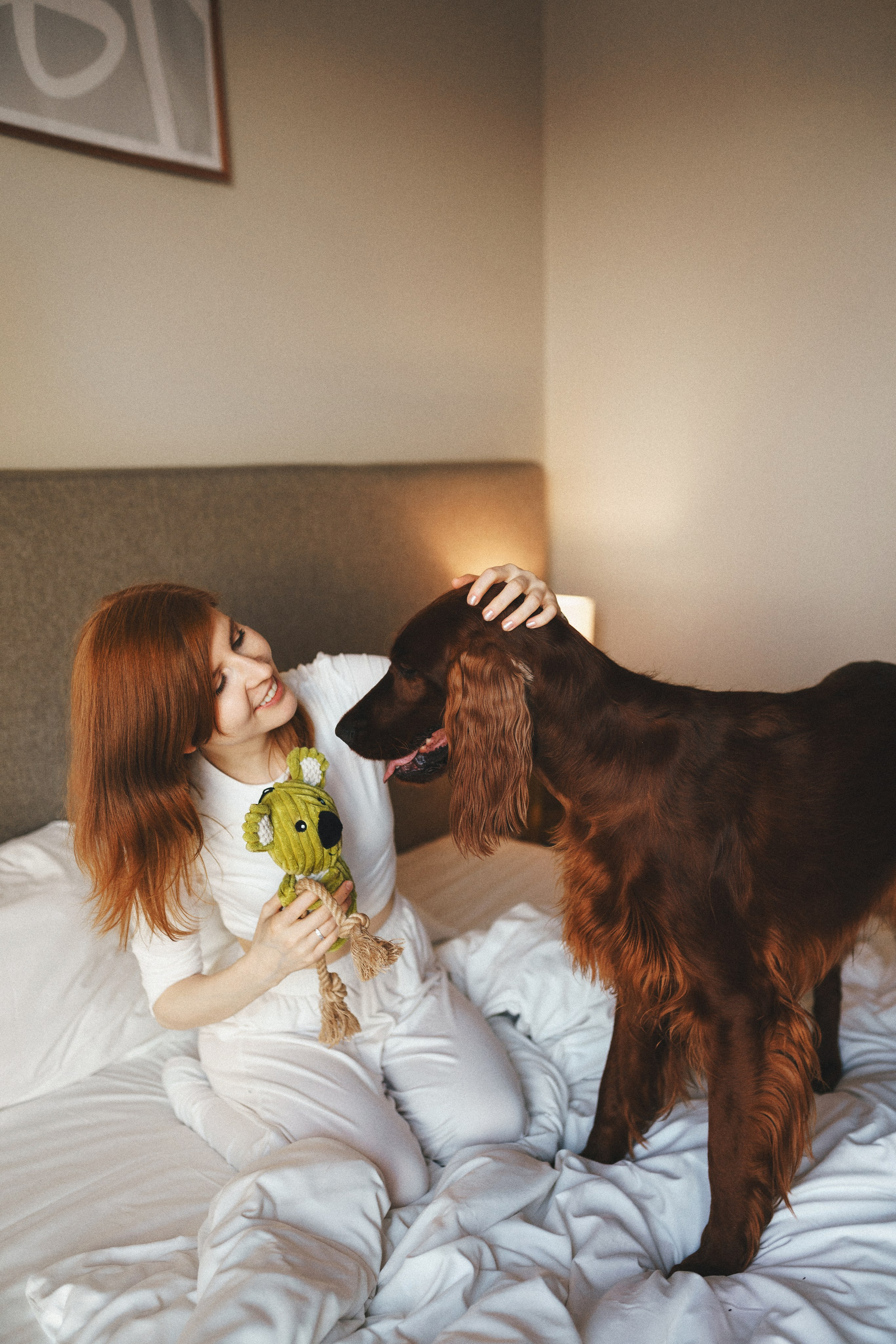 M-Pets. Фотограф анималист Осипчикова Мария